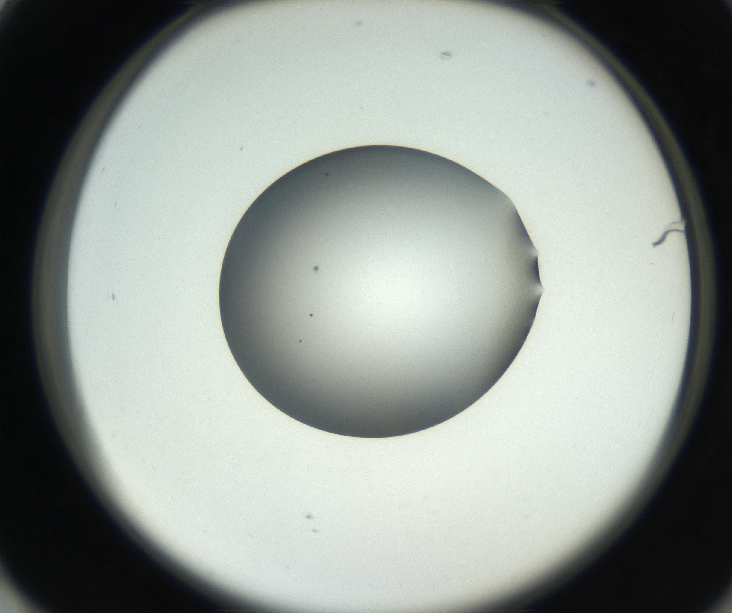 RI01_03_000_0212_Proj1_Clon1_MC_0000MC102706_003_160905_01_07_02_00_99_002_001_RAI.jpg
