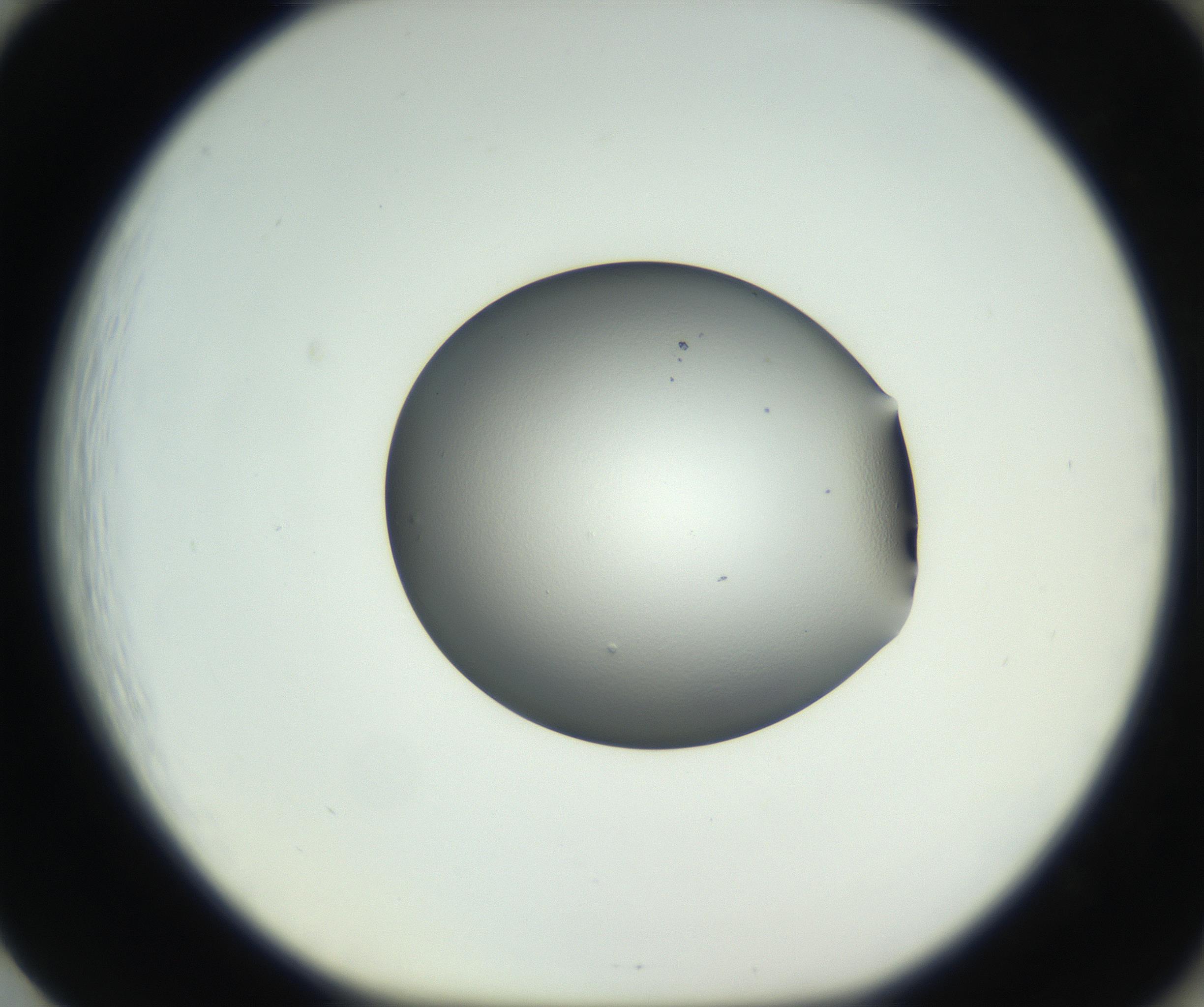 RI01_03_000_0212_Proj1_Clon1_MC_0000MC102706_003_160905_01_08_01_00_99_002_001_RAI.jpg