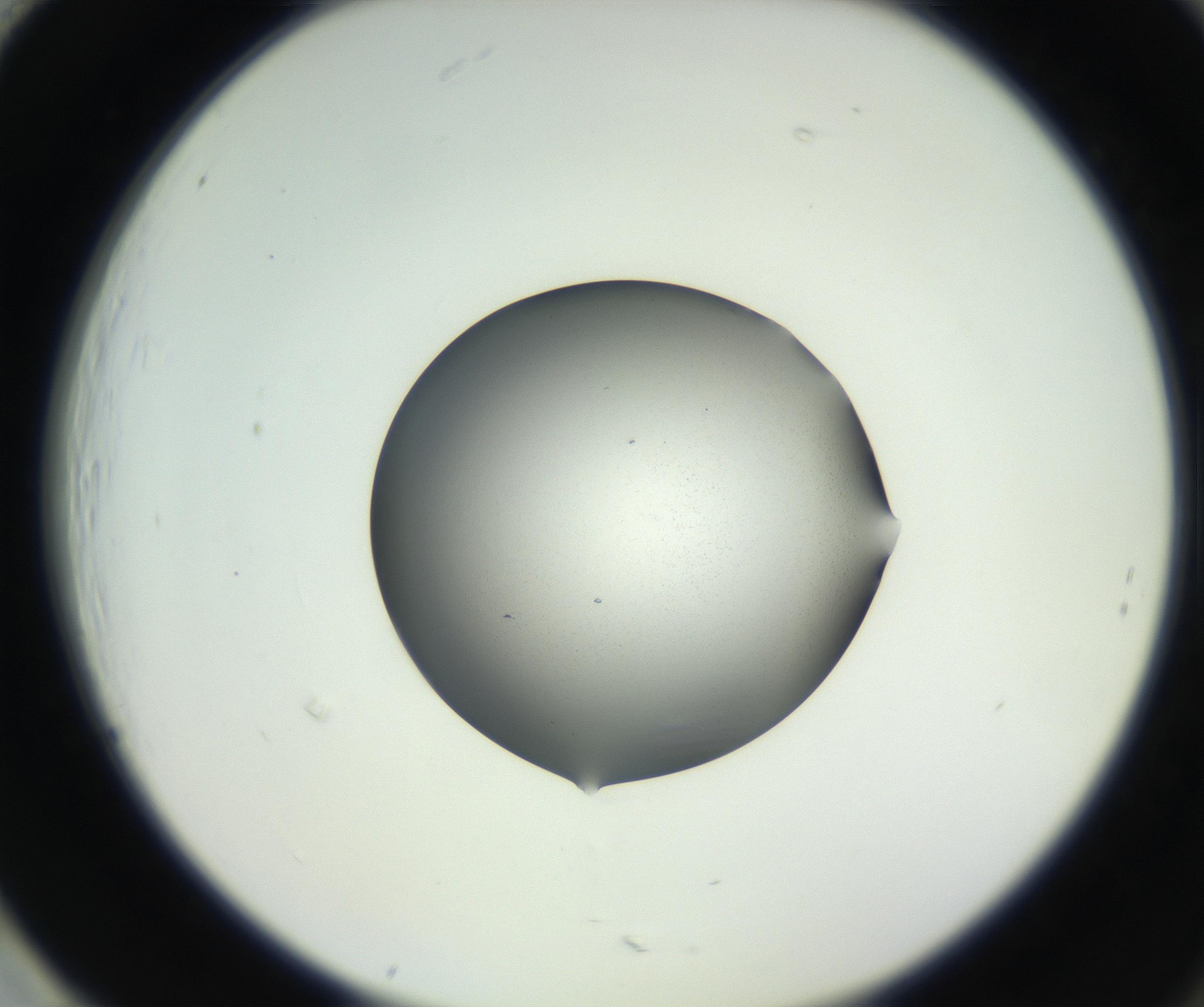 RI01_03_000_0212_Proj1_Clon1_MC_0000MC102706_003_160905_01_08_02_00_99_002_001_RAI.jpg
