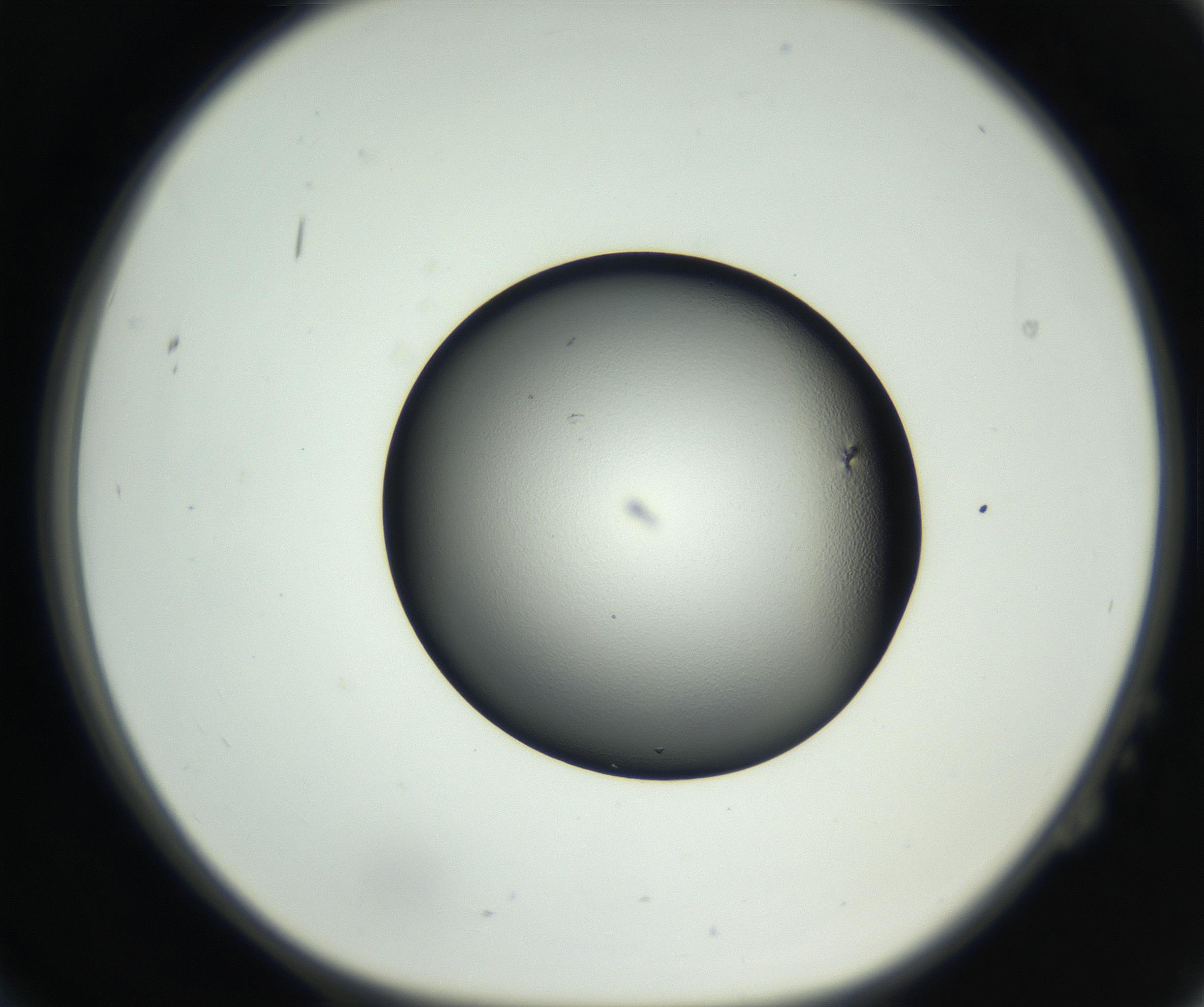 RI01_03_000_0212_Proj1_Clon1_MC_0000MC102706_003_160905_02_02_01_00_99_002_001_RAI.jpg