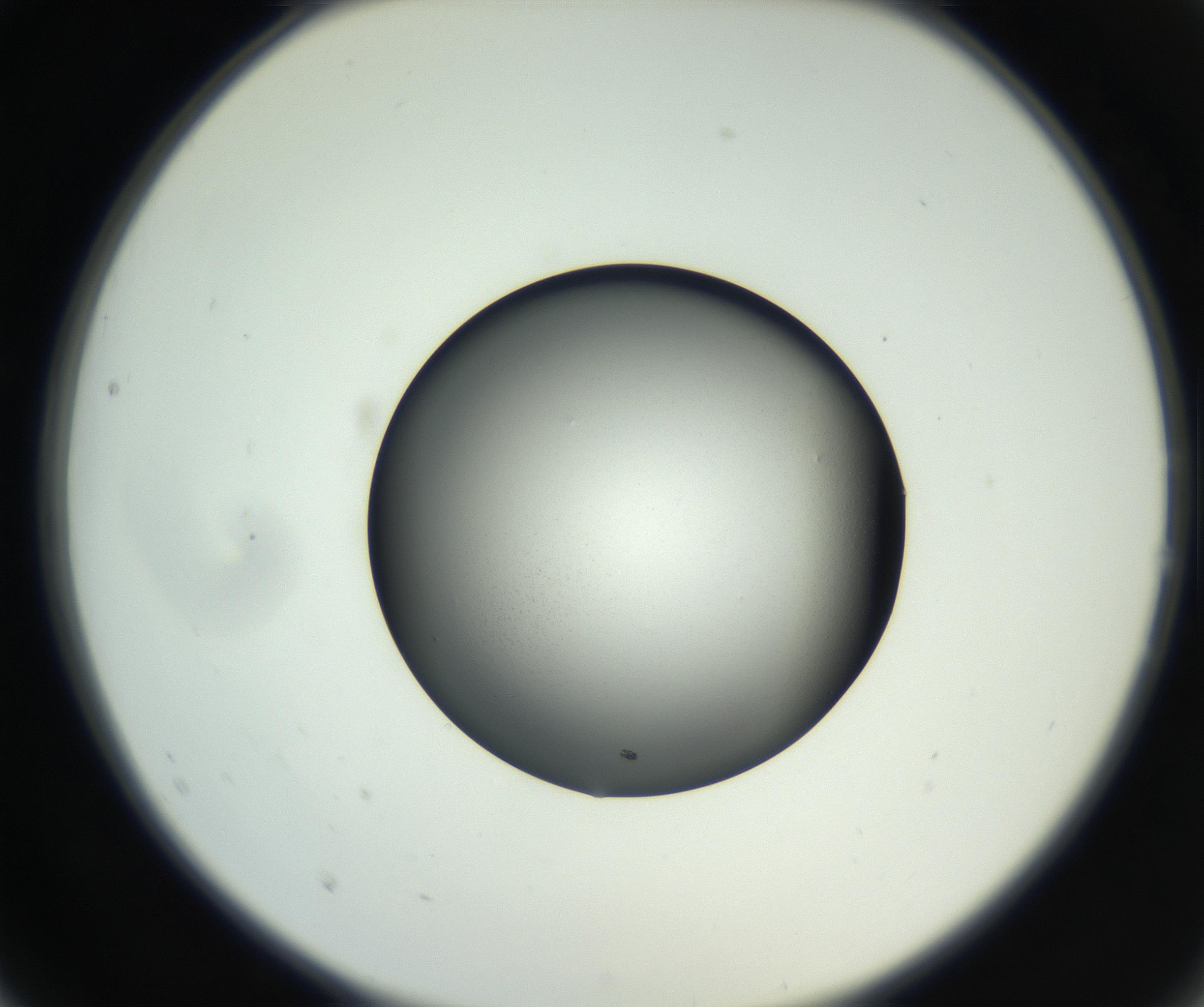 RI01_03_000_0212_Proj1_Clon1_MC_0000MC102706_003_160905_02_02_02_00_99_002_001_RAI.jpg