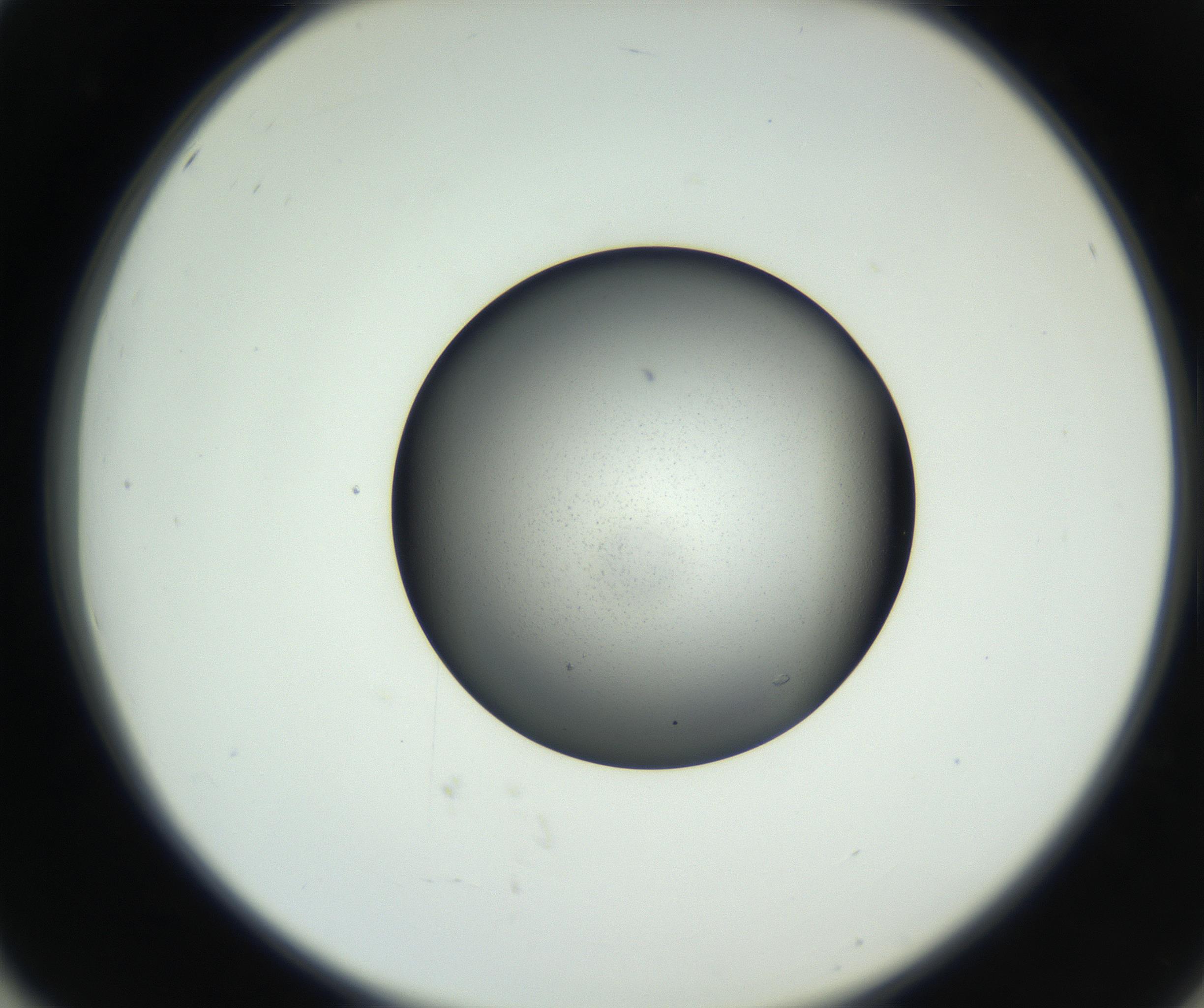 RI01_03_000_0212_Proj1_Clon1_MC_0000MC102706_003_160905_02_05_02_00_99_002_001_RAI.jpg