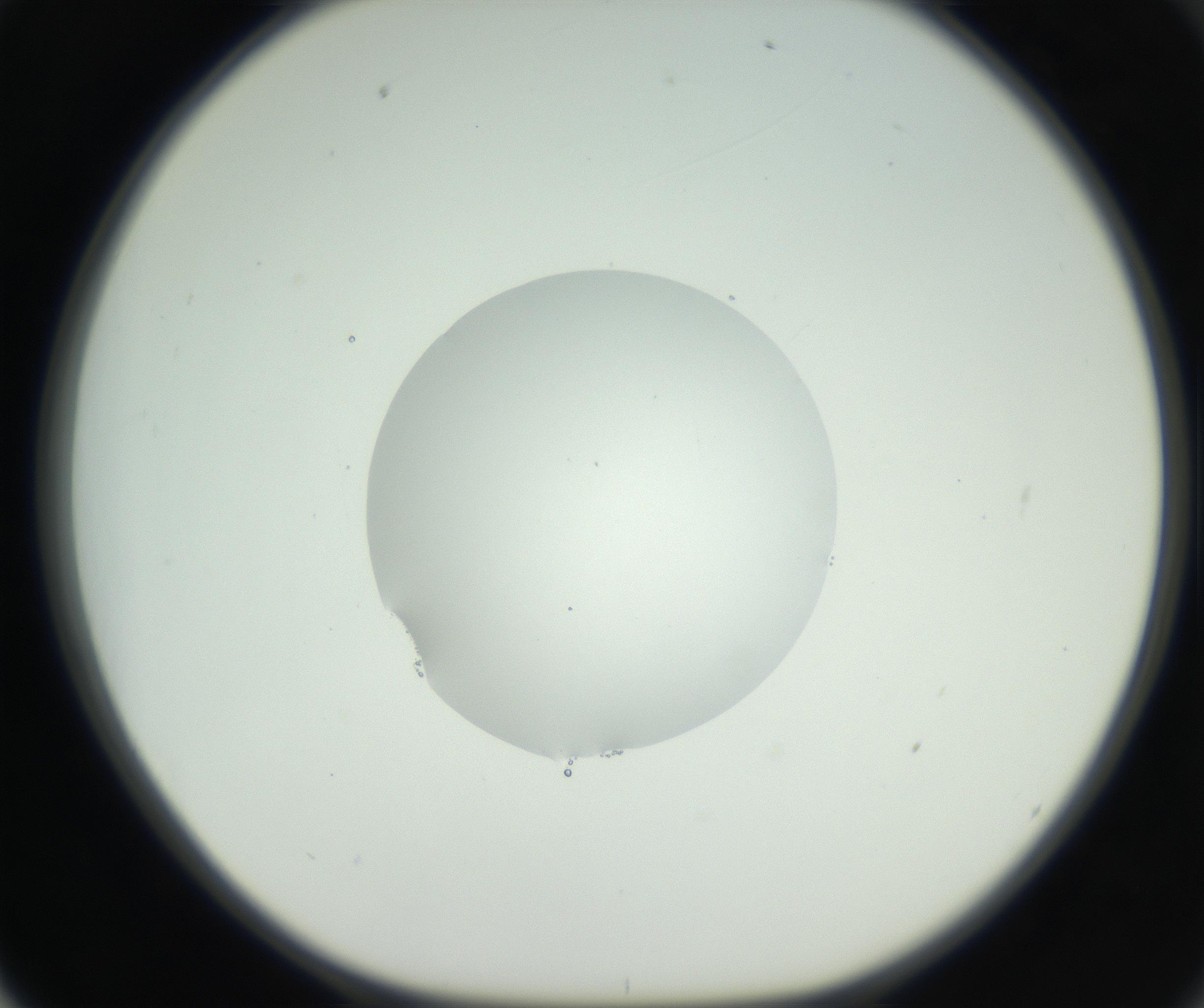 RI01_03_000_0212_Proj1_Clon1_MC_0000MC102706_003_160905_02_06_01_00_99_002_001_RAI.jpg