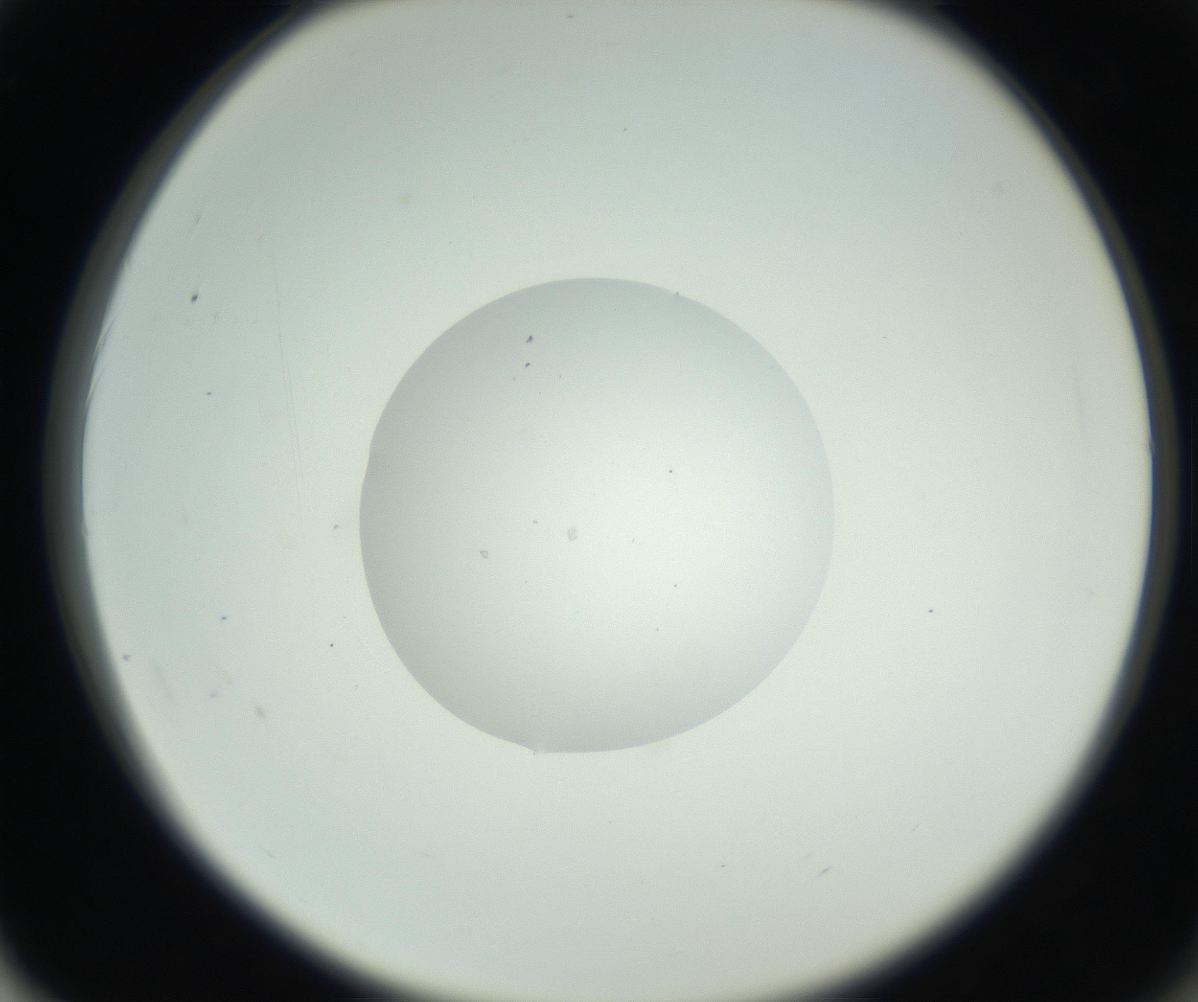 RI01_03_000_0212_Proj1_Clon1_MC_0000MC102706_003_160905_02_06_02_00_99_002_001_RAI.jpg