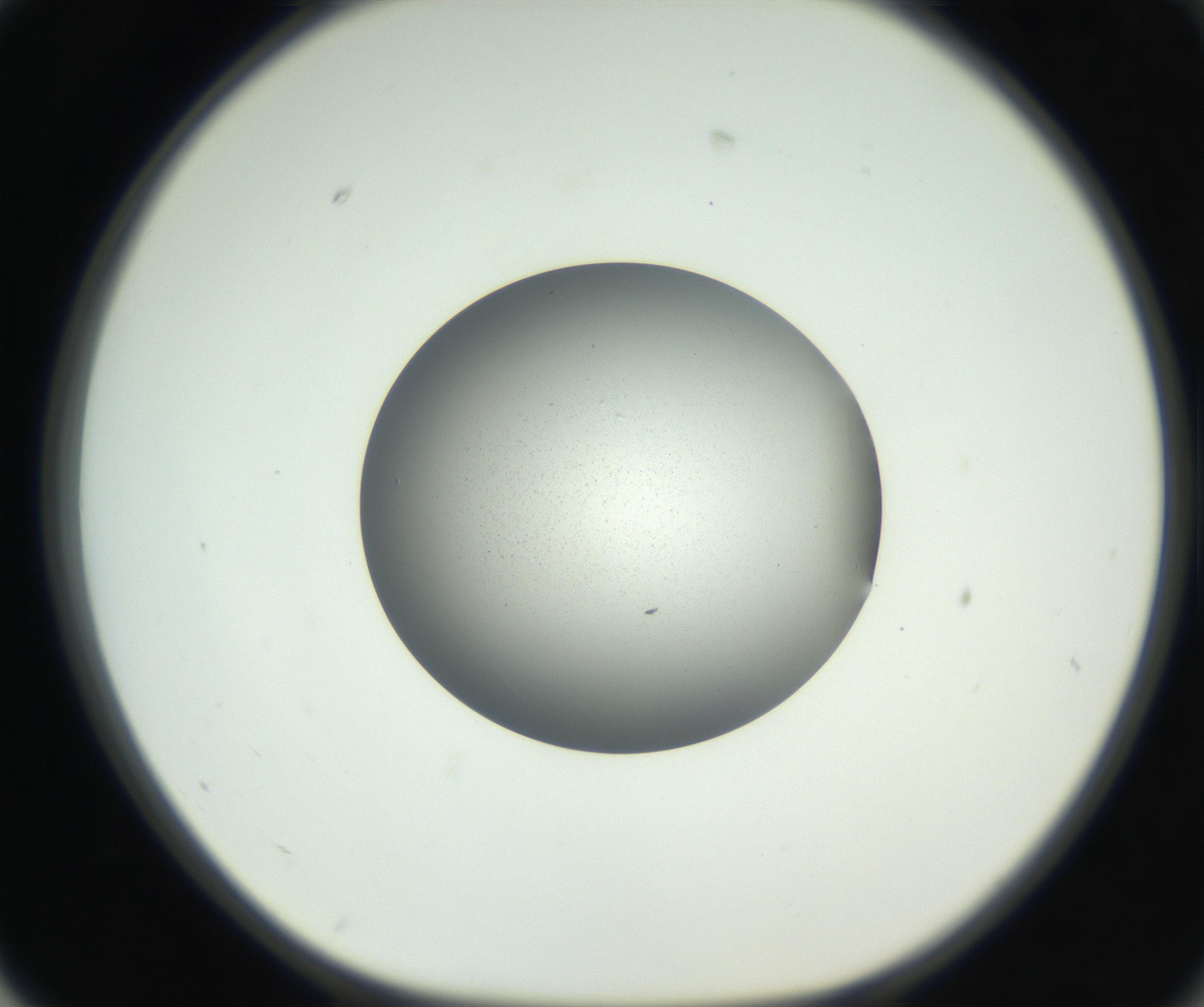RI01_03_000_0212_Proj1_Clon1_MC_0000MC102706_003_160905_02_07_01_00_99_002_001_RAI.jpg
