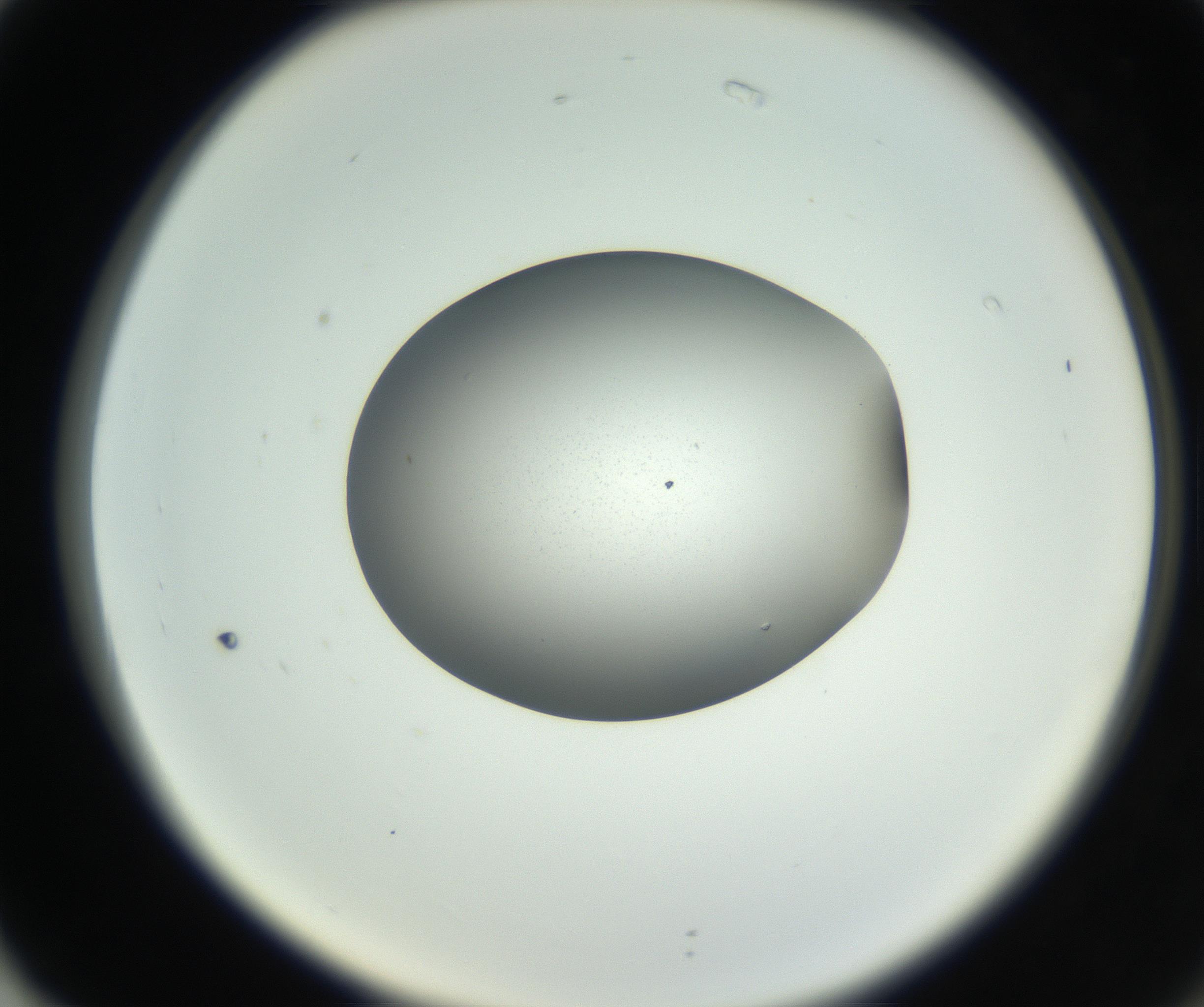 RI01_03_000_0212_Proj1_Clon1_MC_0000MC102706_003_160905_02_07_02_00_99_002_001_RAI.jpg