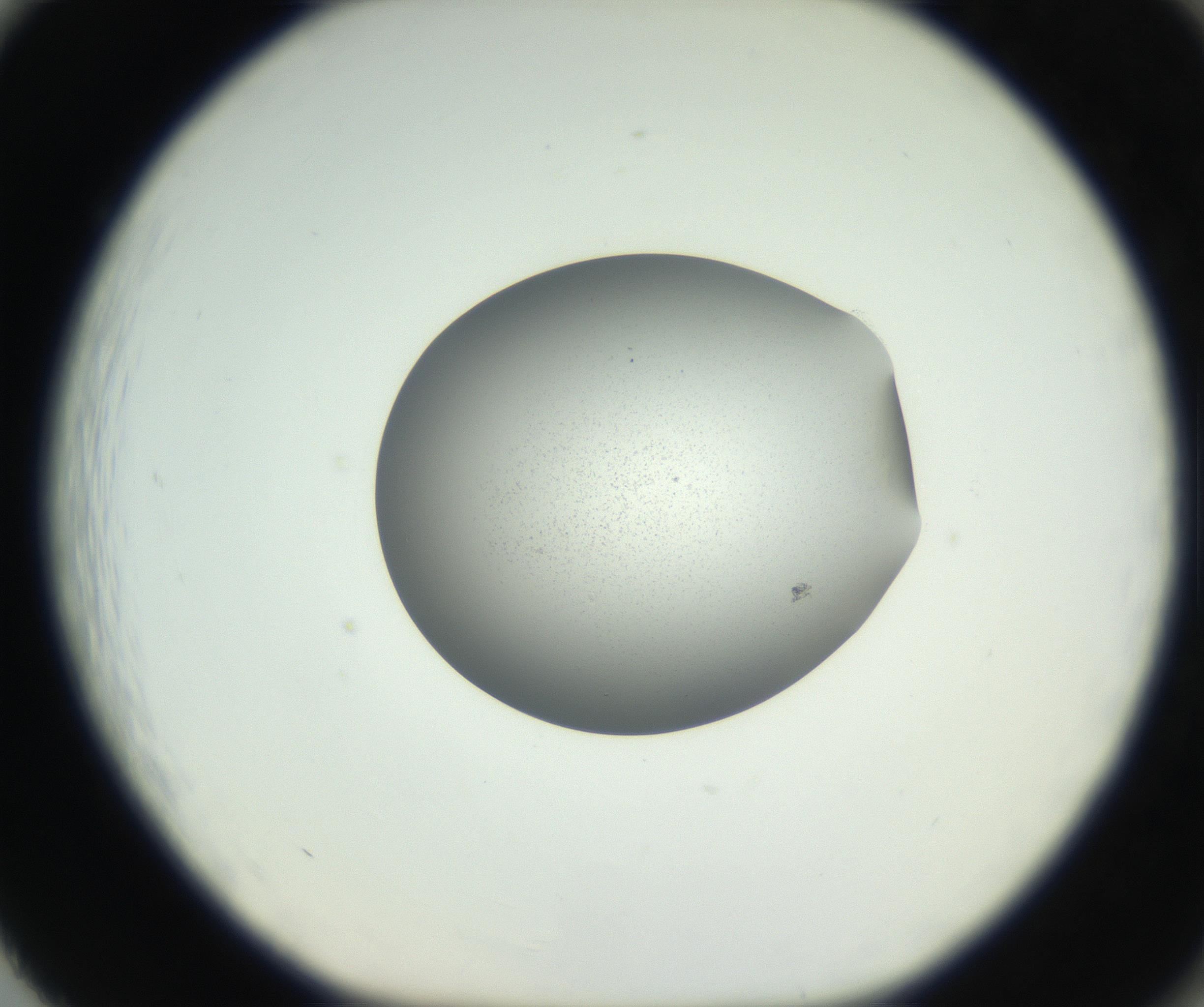 RI01_03_000_0212_Proj1_Clon1_MC_0000MC102706_003_160905_02_08_01_00_99_002_001_RAI.jpg