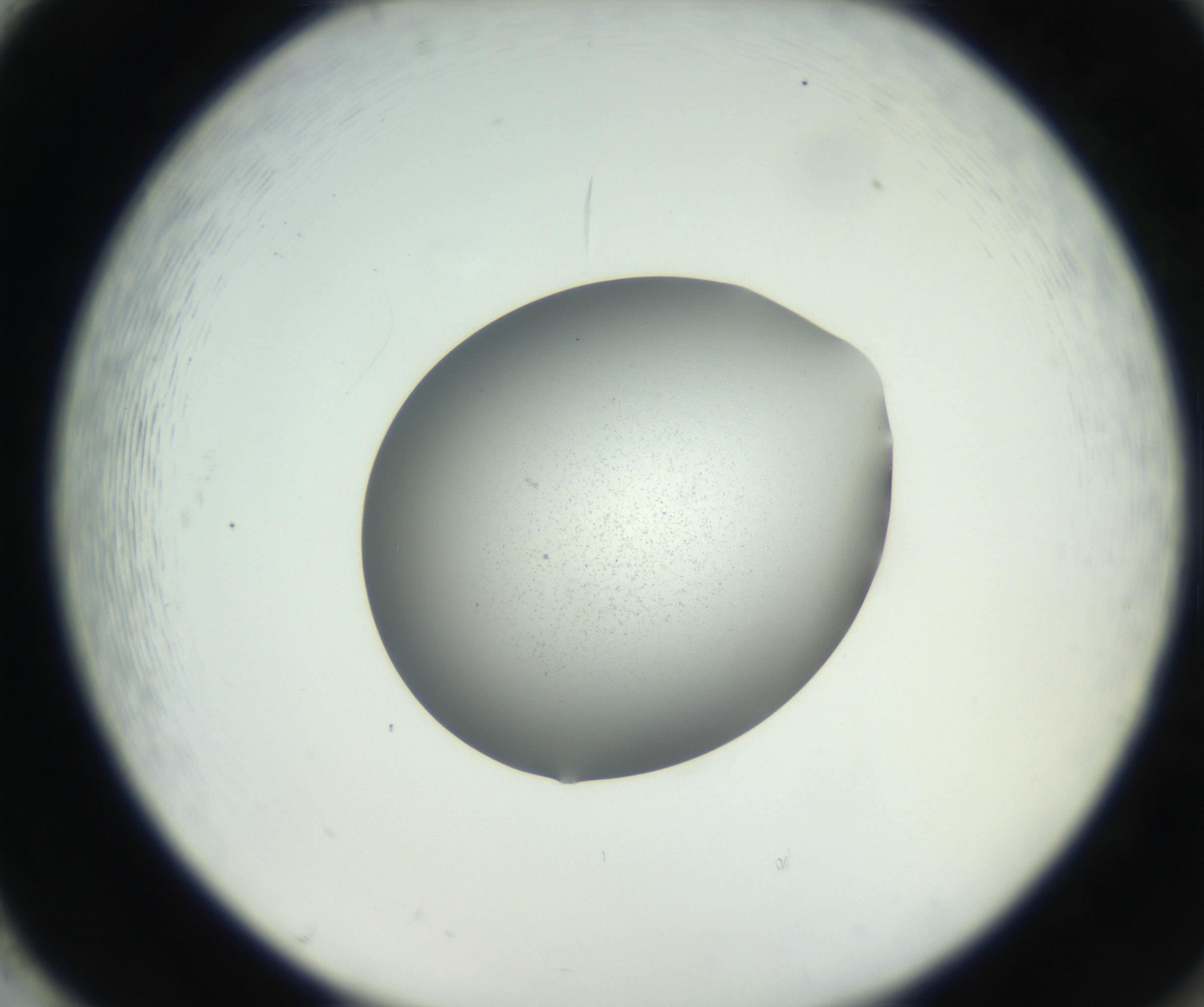 RI01_03_000_0212_Proj1_Clon1_MC_0000MC102706_003_160905_02_08_02_00_99_002_001_RAI.jpg