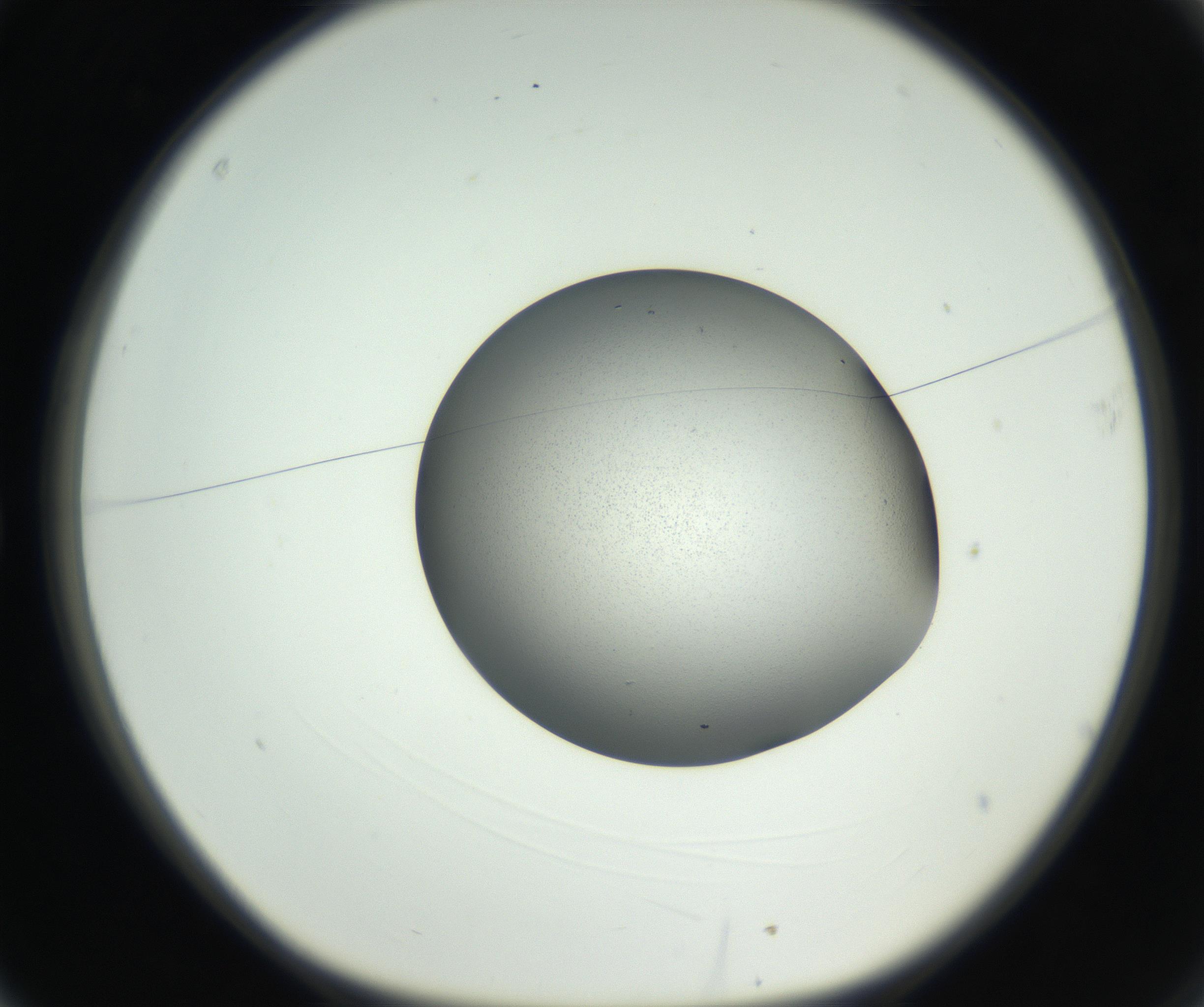 RI01_03_000_0212_Proj1_Clon1_MC_0000MC102706_003_160905_03_01_01_00_99_002_001_RAI.jpg