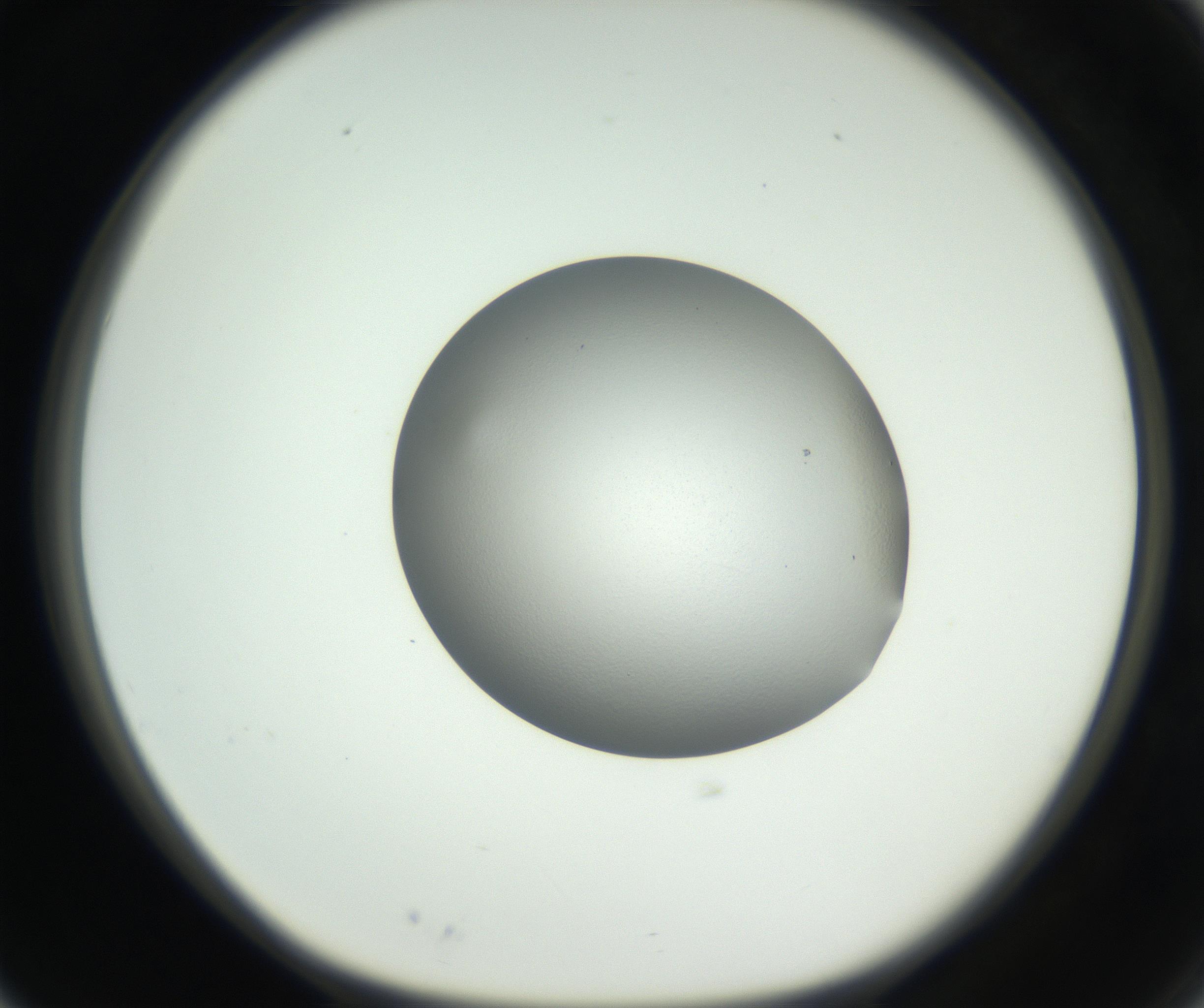 RI01_03_000_0212_Proj1_Clon1_MC_0000MC102706_003_160905_03_02_01_00_99_002_001_RAI.jpg
