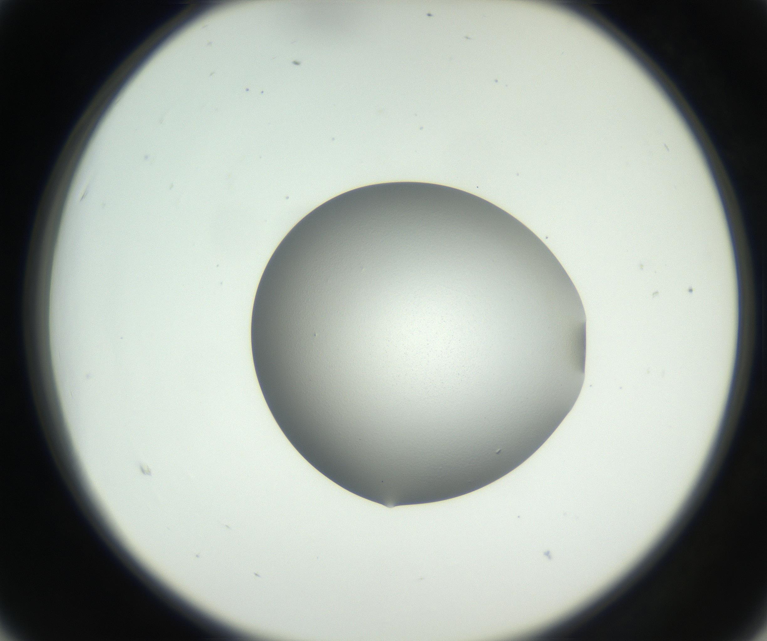 RI01_03_000_0212_Proj1_Clon1_MC_0000MC102706_003_160905_03_02_02_00_99_002_001_RAI.jpg
