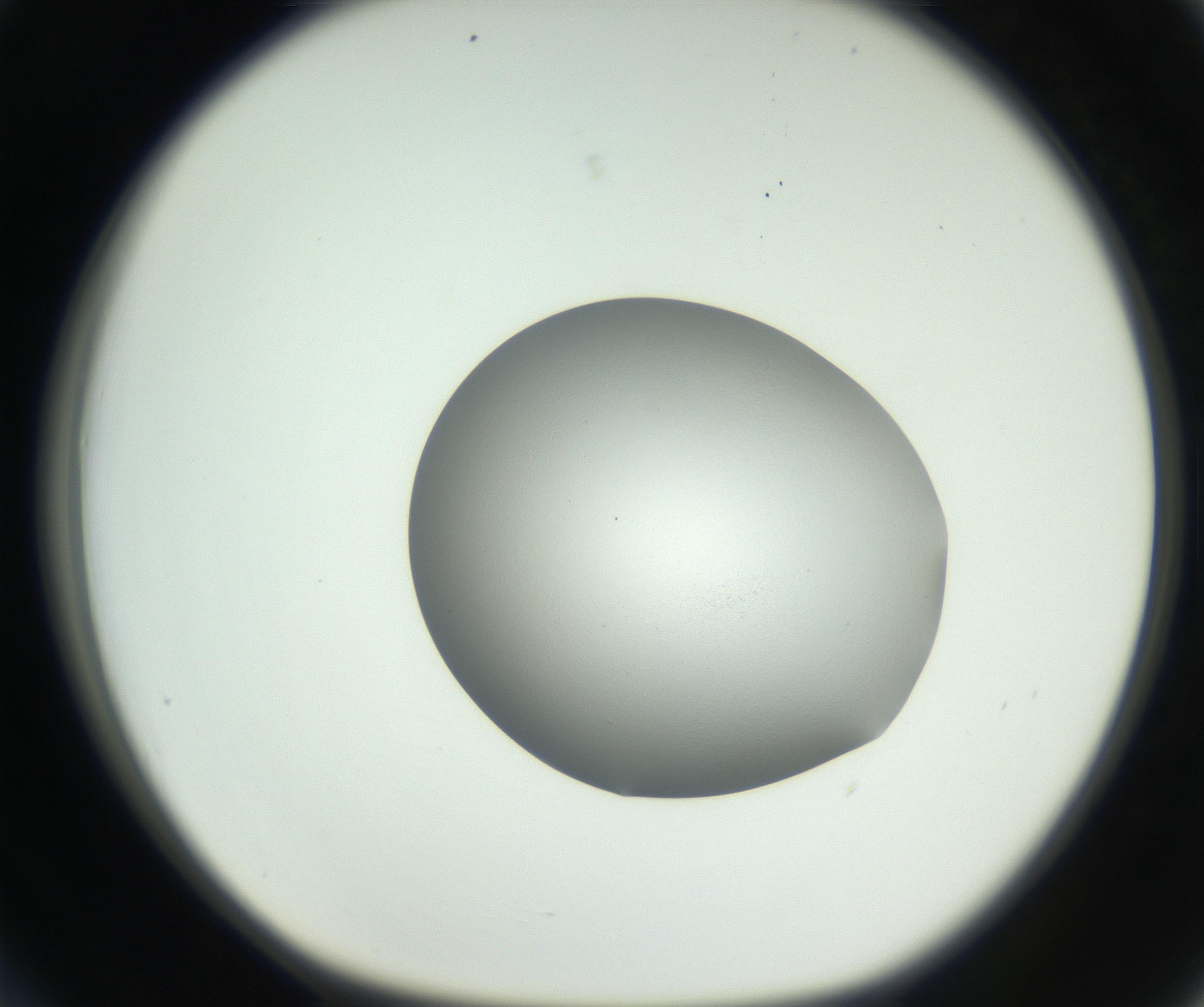 RI01_03_000_0212_Proj1_Clon1_MC_0000MC102706_003_160905_03_03_01_00_99_002_001_RAI.jpg