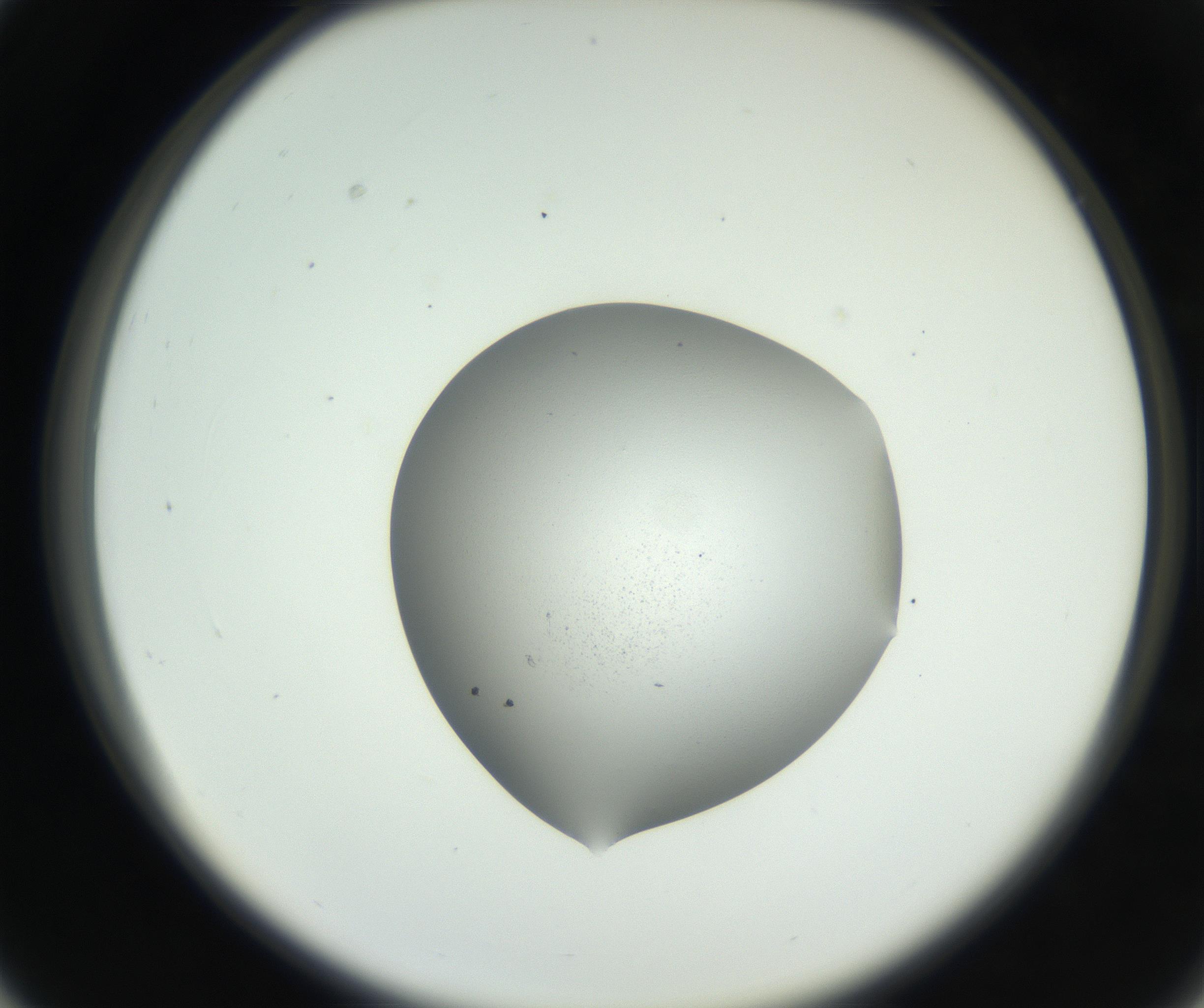RI01_03_000_0212_Proj1_Clon1_MC_0000MC102706_003_160905_03_03_02_00_99_002_001_RAI.jpg