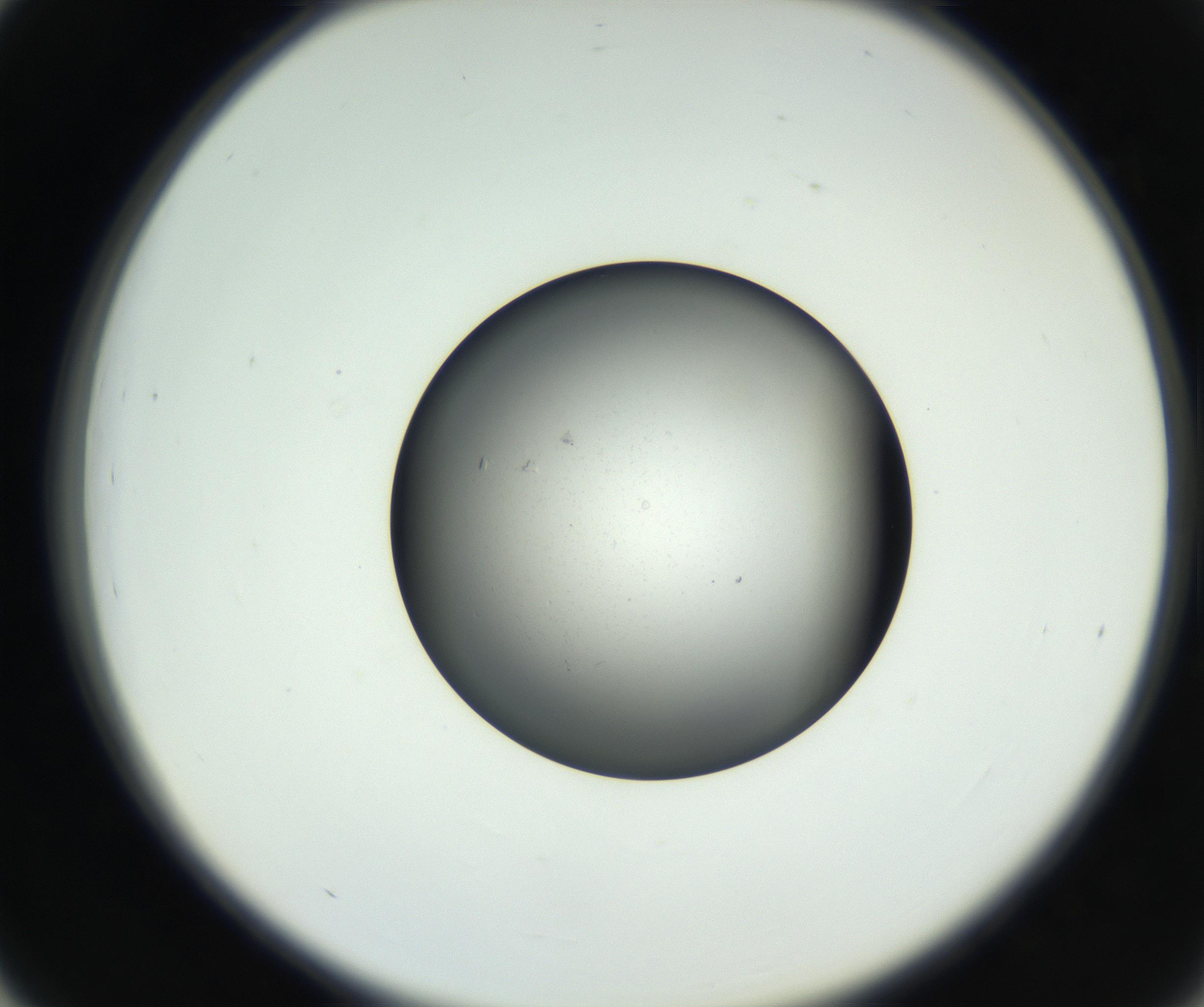 RI01_03_000_0212_Proj1_Clon1_MC_0000MC102706_003_160905_03_04_02_00_99_002_001_RAI.jpg