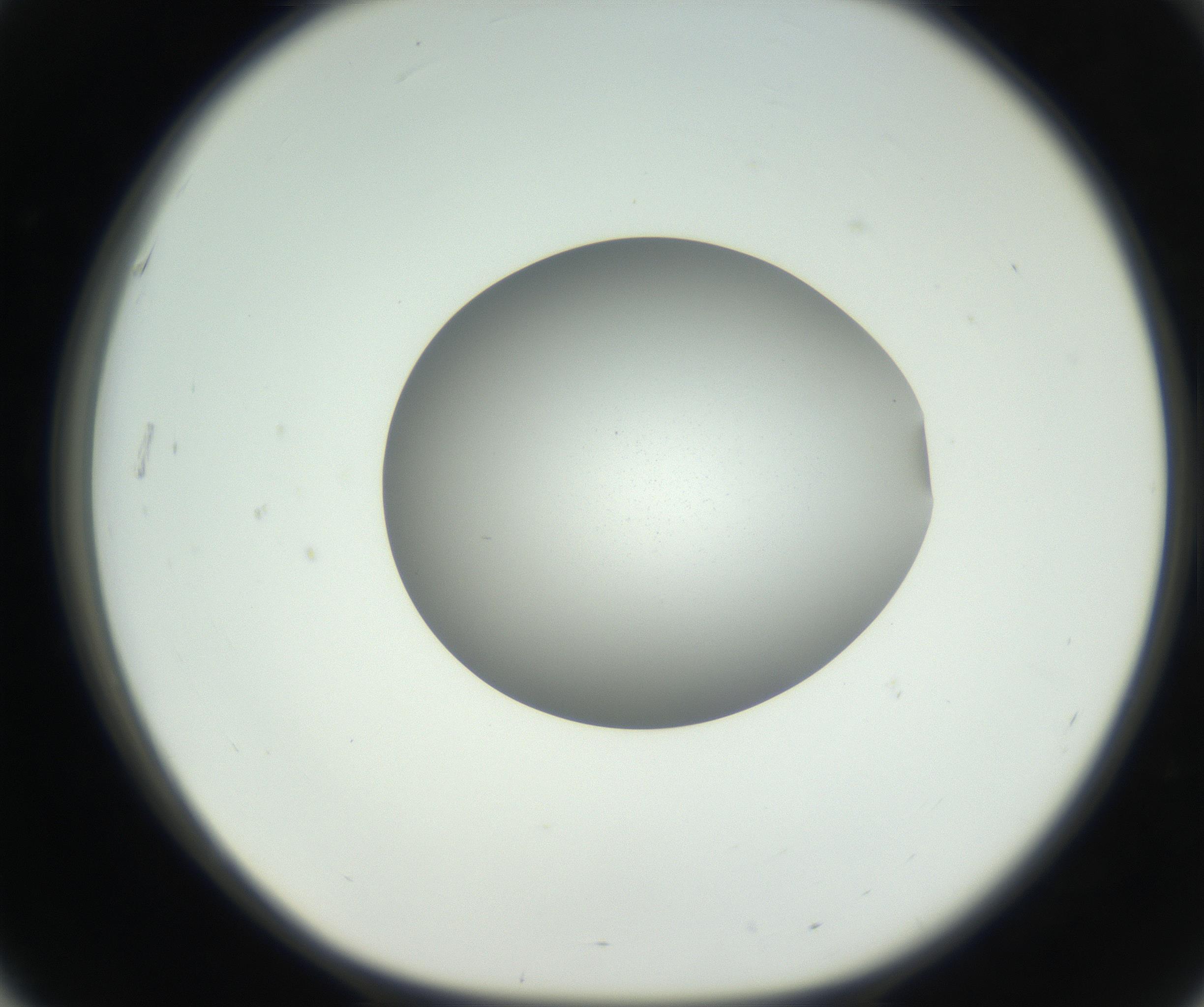 RI01_03_000_0212_Proj1_Clon1_MC_0000MC102706_003_160905_03_05_01_00_99_002_001_RAI.jpg