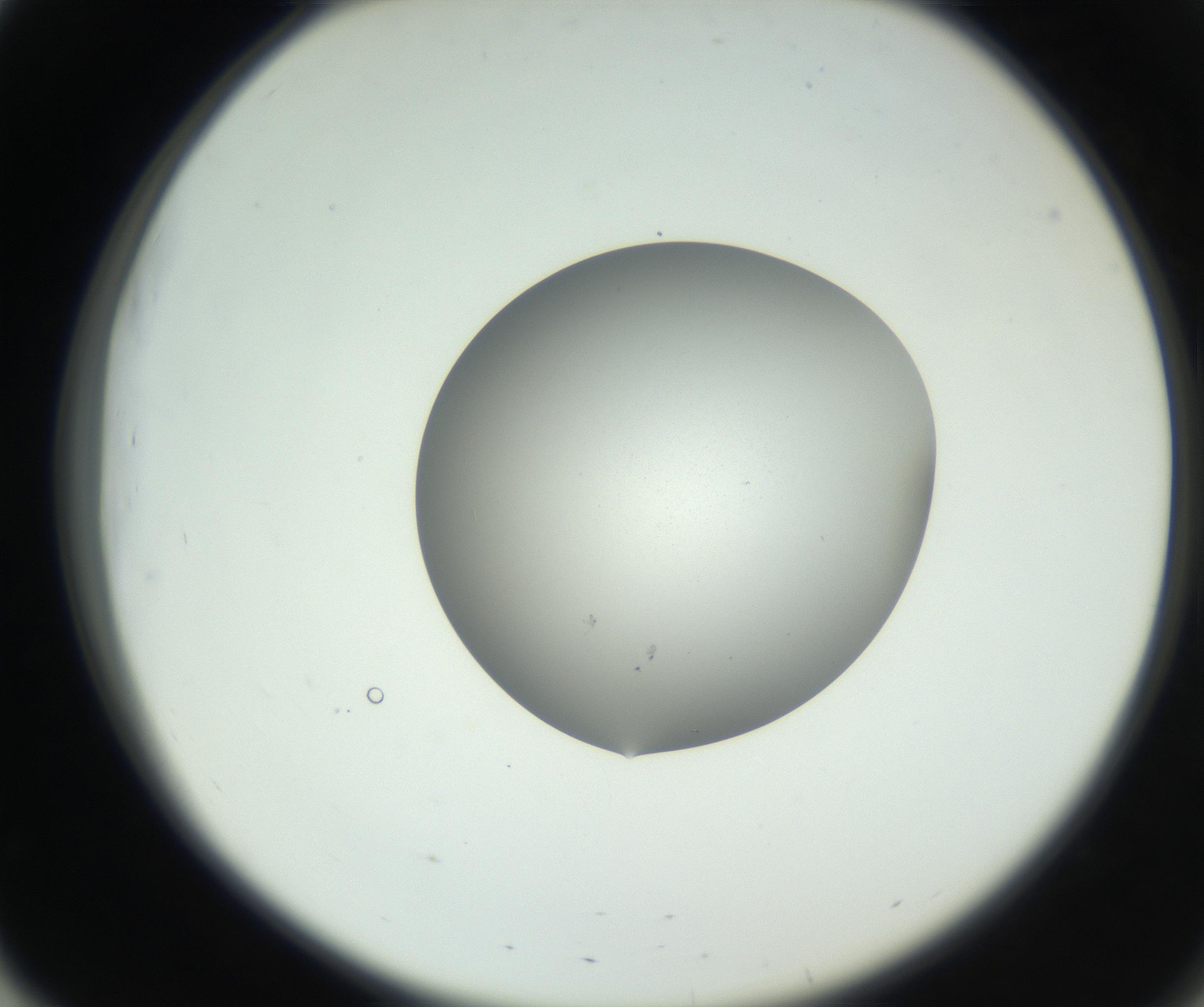 RI01_03_000_0212_Proj1_Clon1_MC_0000MC102706_003_160905_03_05_02_00_99_002_001_RAI.jpg