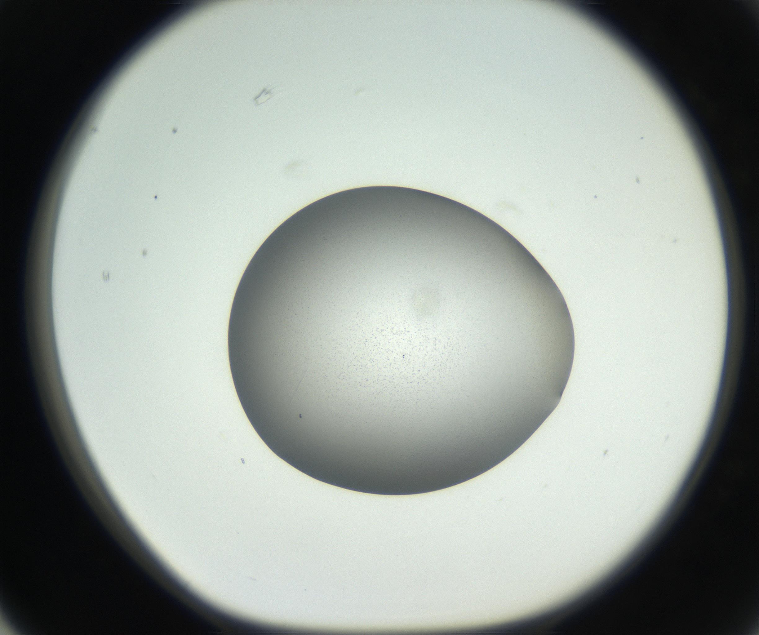 RI01_03_000_0212_Proj1_Clon1_MC_0000MC102706_003_160905_03_06_01_00_99_002_001_RAI.jpg