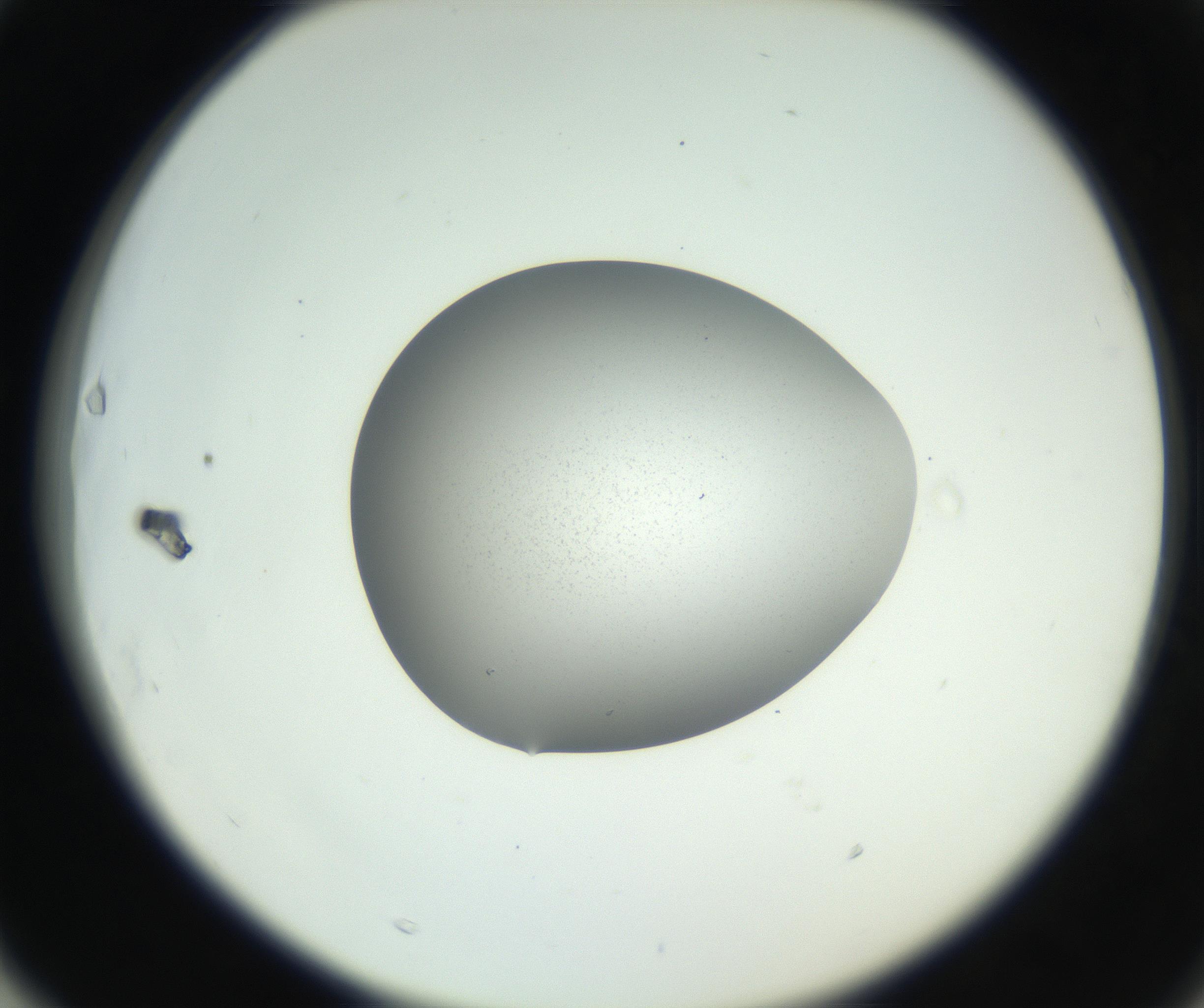 RI01_03_000_0212_Proj1_Clon1_MC_0000MC102706_003_160905_03_06_02_00_99_002_001_RAI.jpg