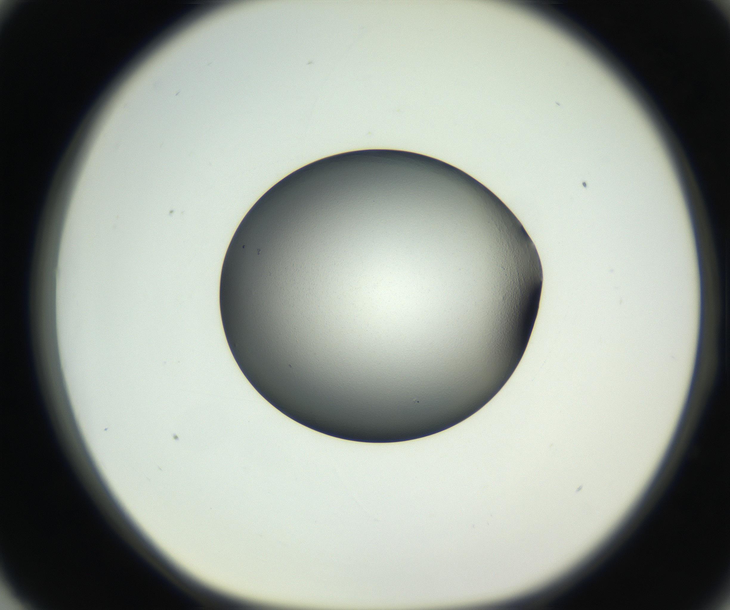 RI01_03_000_0212_Proj1_Clon1_MC_0000MC102706_003_160905_03_08_01_00_99_002_001_RAI.jpg