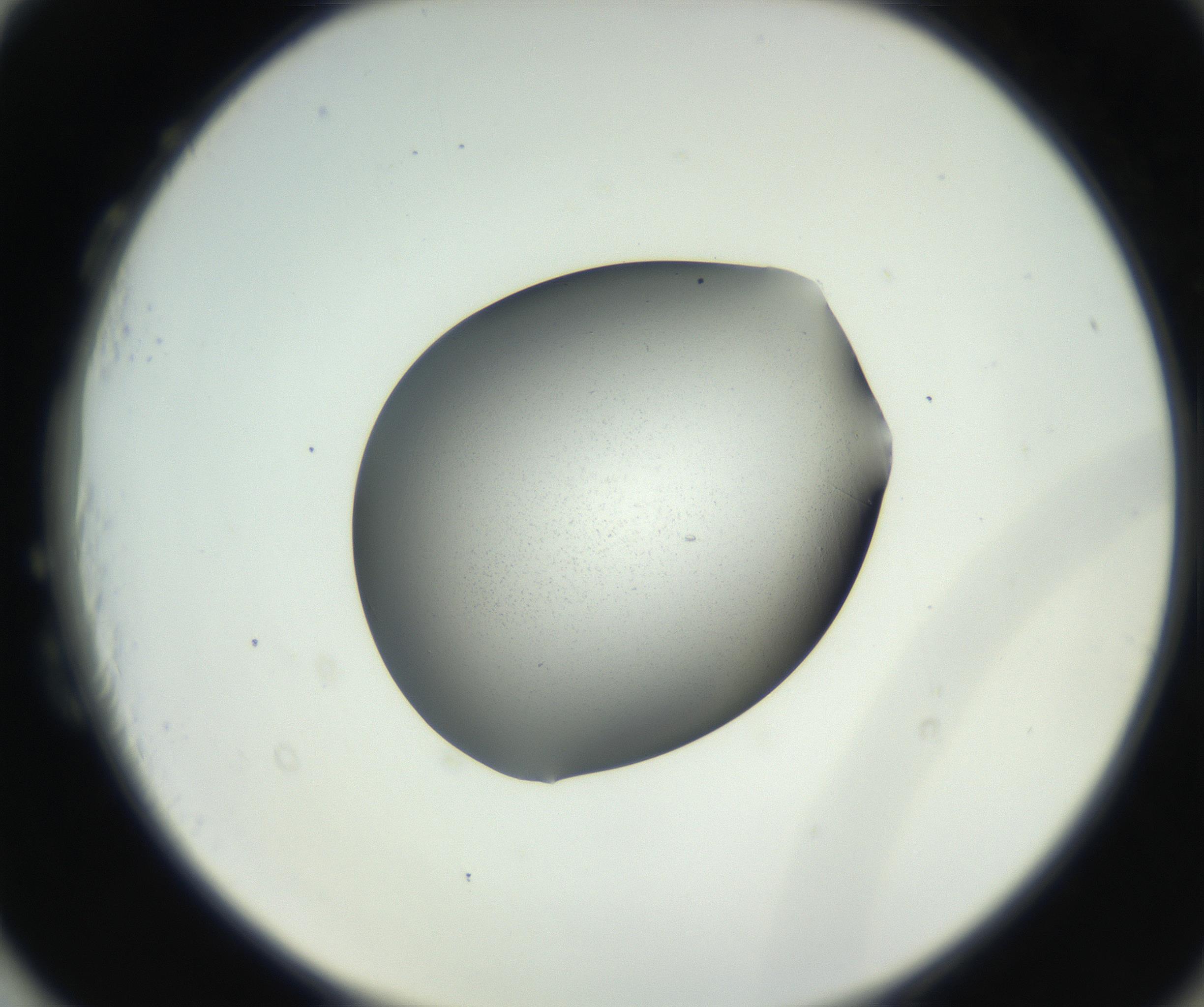 RI01_03_000_0212_Proj1_Clon1_MC_0000MC102706_003_160905_03_08_02_00_99_002_001_RAI.jpg