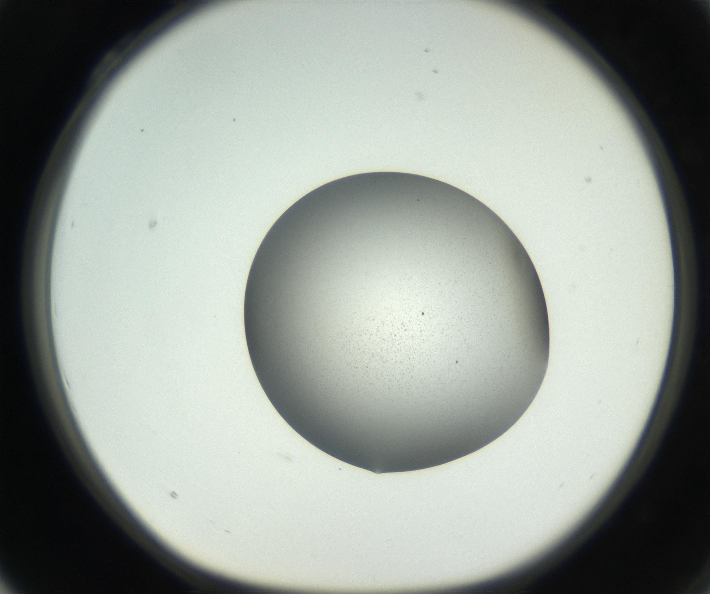 RI01_03_000_0212_Proj1_Clon1_MC_0000MC102706_003_160905_04_03_01_00_99_002_001_RAI.jpg