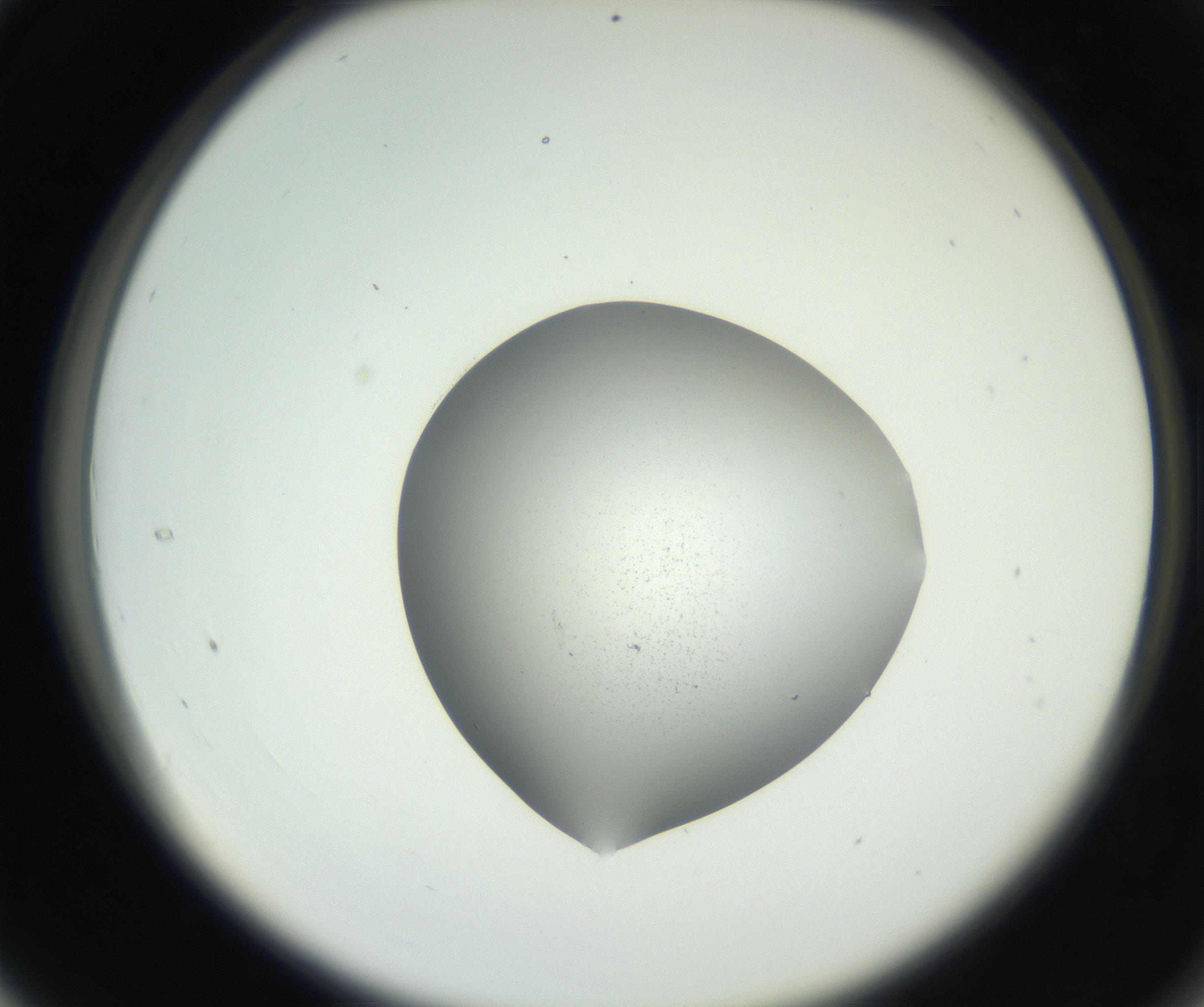 RI01_03_000_0212_Proj1_Clon1_MC_0000MC102706_003_160905_04_03_02_00_99_002_001_RAI.jpg