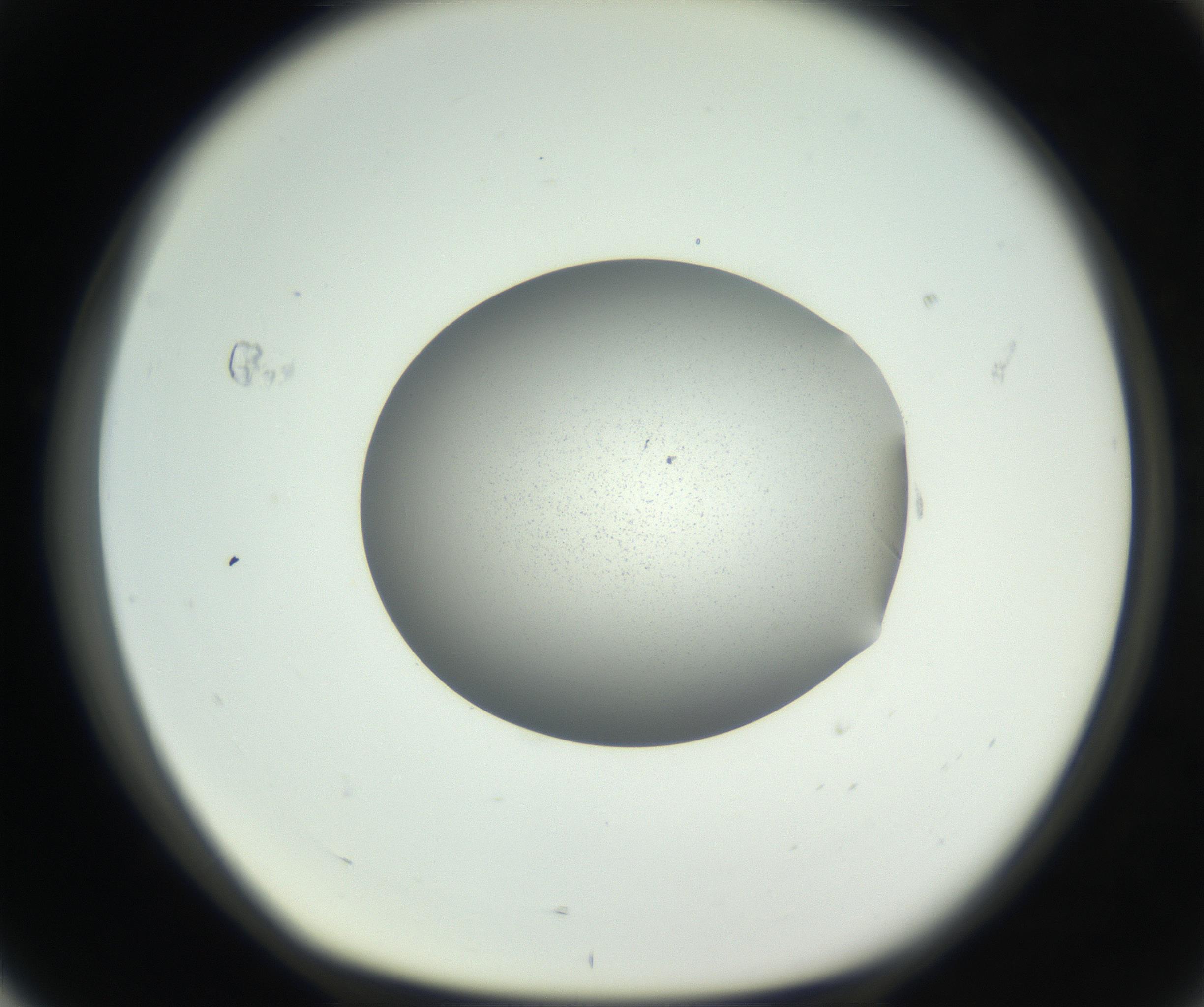RI01_03_000_0212_Proj1_Clon1_MC_0000MC102706_003_160905_04_07_01_00_99_002_001_RAI.jpg