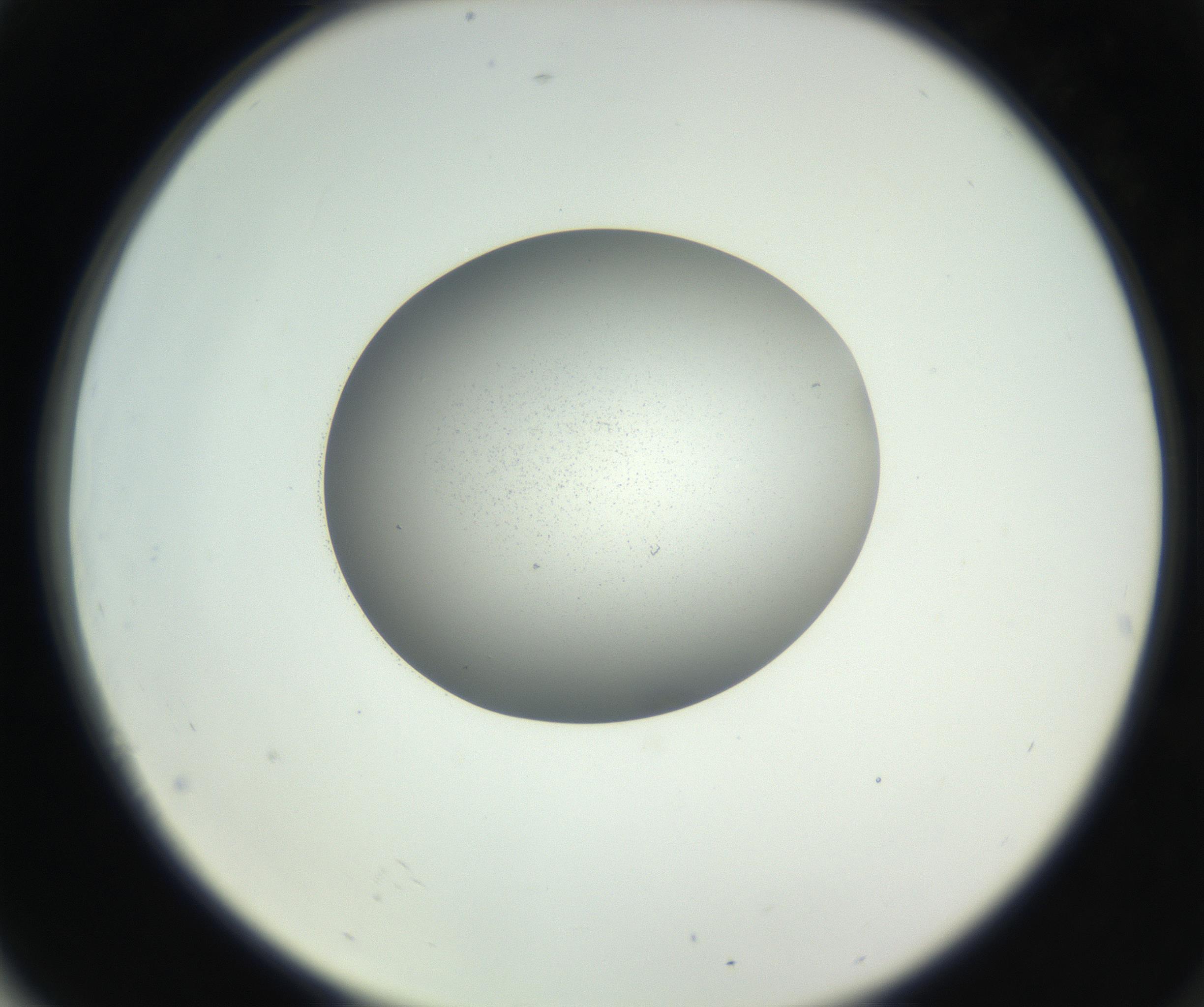 RI01_03_000_0212_Proj1_Clon1_MC_0000MC102706_003_160905_04_07_02_00_99_002_001_RAI.jpg
