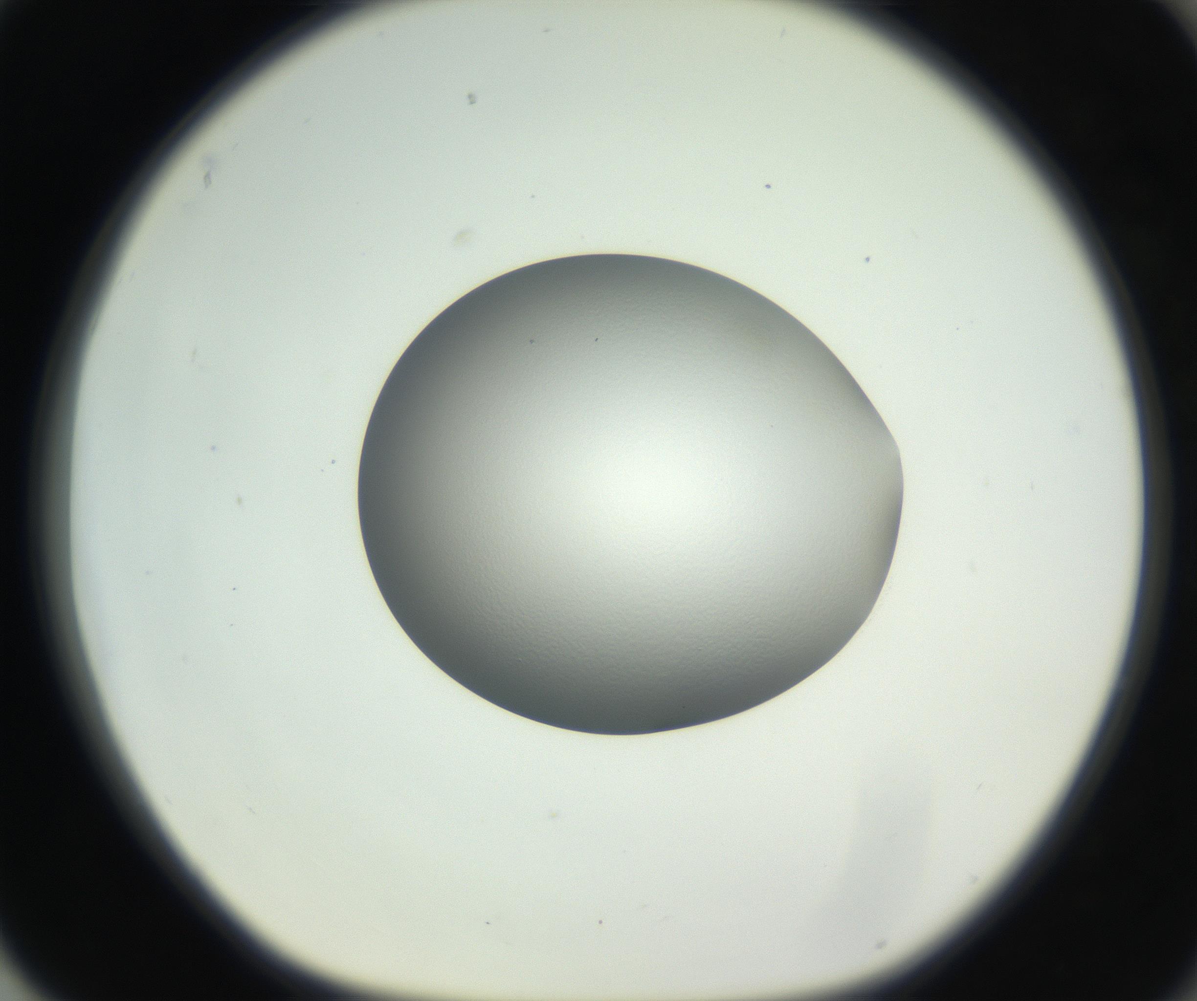 RI01_03_000_0212_Proj1_Clon1_MC_0000MC102706_003_160905_04_08_01_00_99_002_001_RAI.jpg