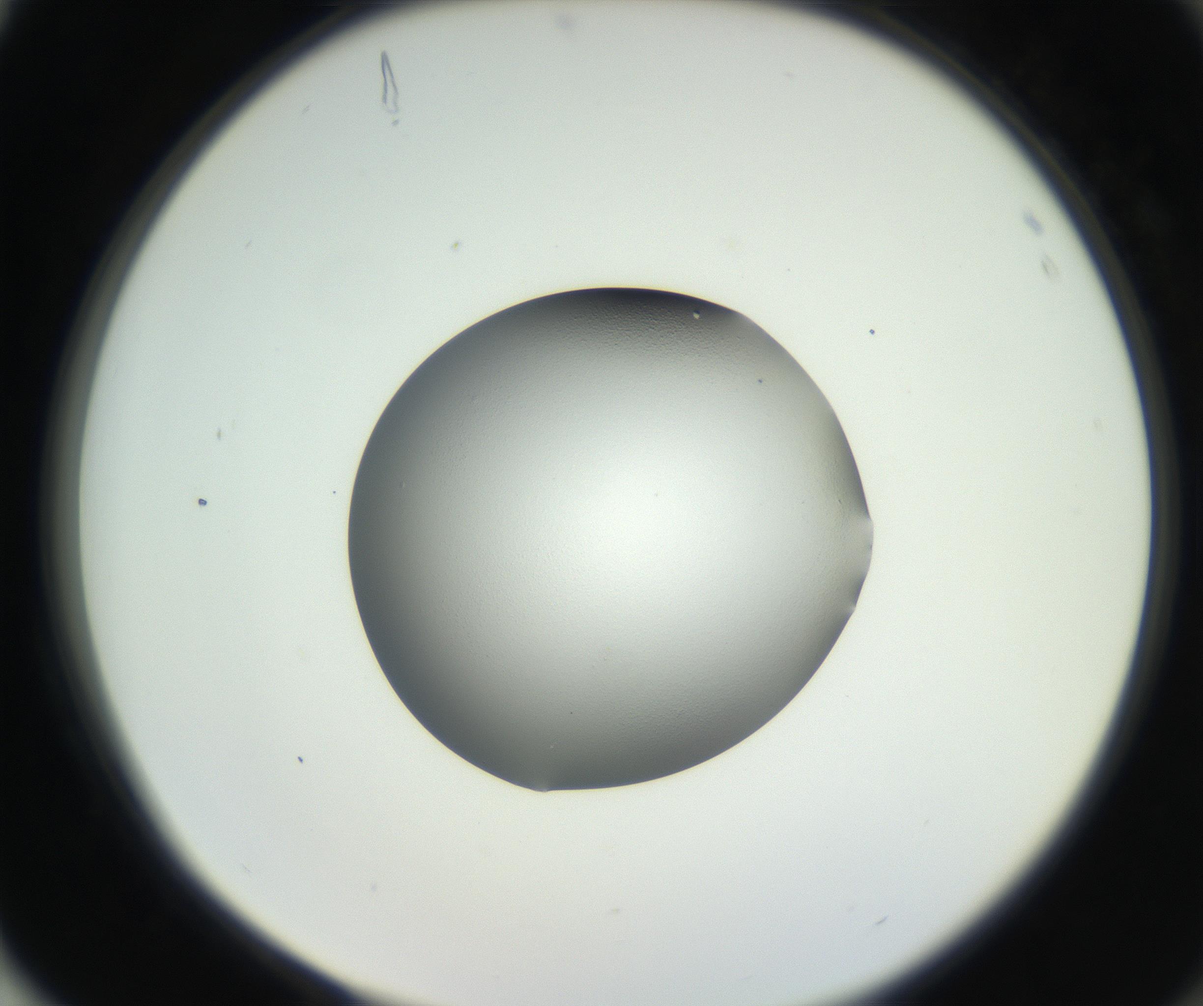 RI01_03_000_0212_Proj1_Clon1_MC_0000MC102706_003_160905_04_08_02_00_99_002_001_RAI.jpg