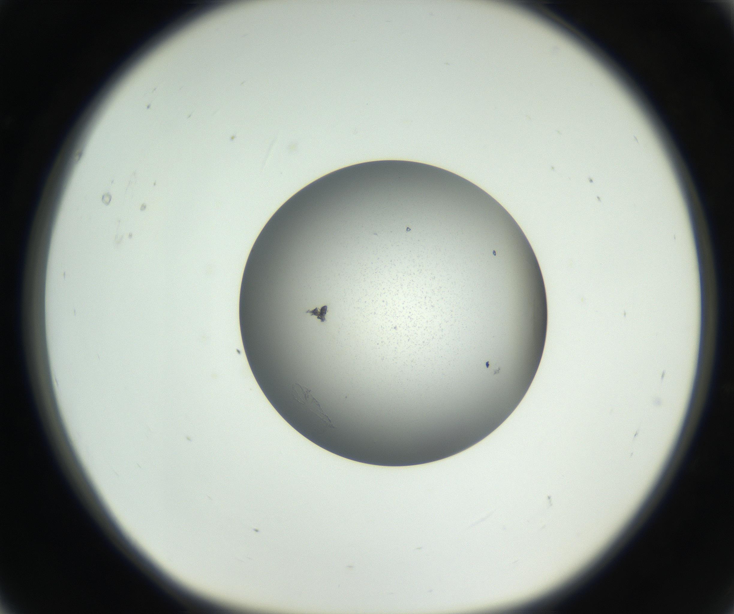 RI01_03_000_0212_Proj1_Clon1_MC_0000MC102706_003_160905_05_01_01_00_99_002_001_RAI.jpg