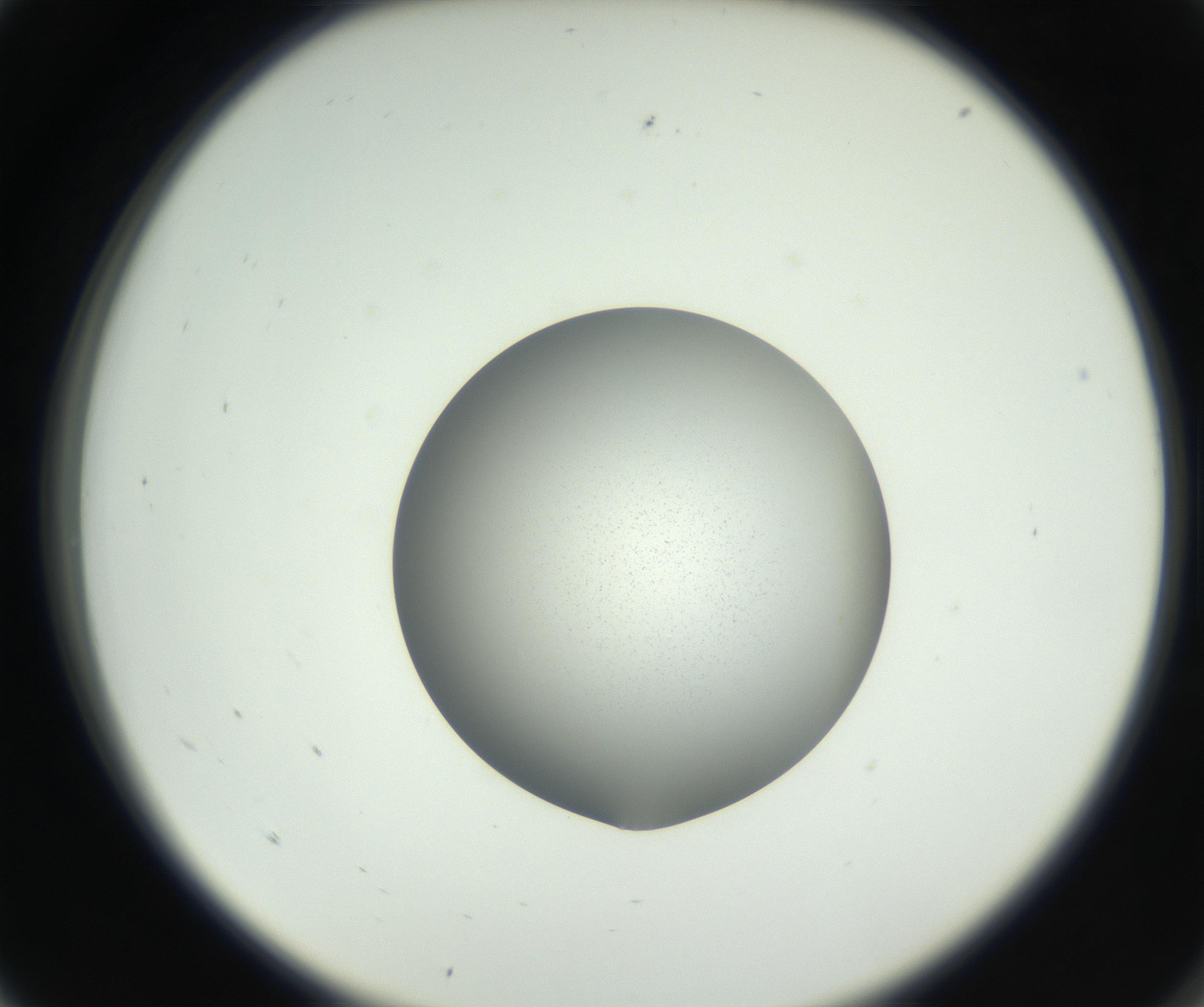 RI01_03_000_0212_Proj1_Clon1_MC_0000MC102706_003_160905_05_01_02_00_99_002_001_RAI.jpg