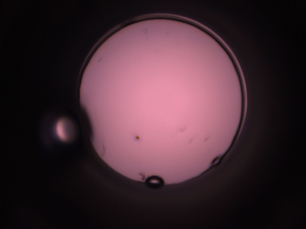 05i2_O17_ImagerDefaults_1.jpg