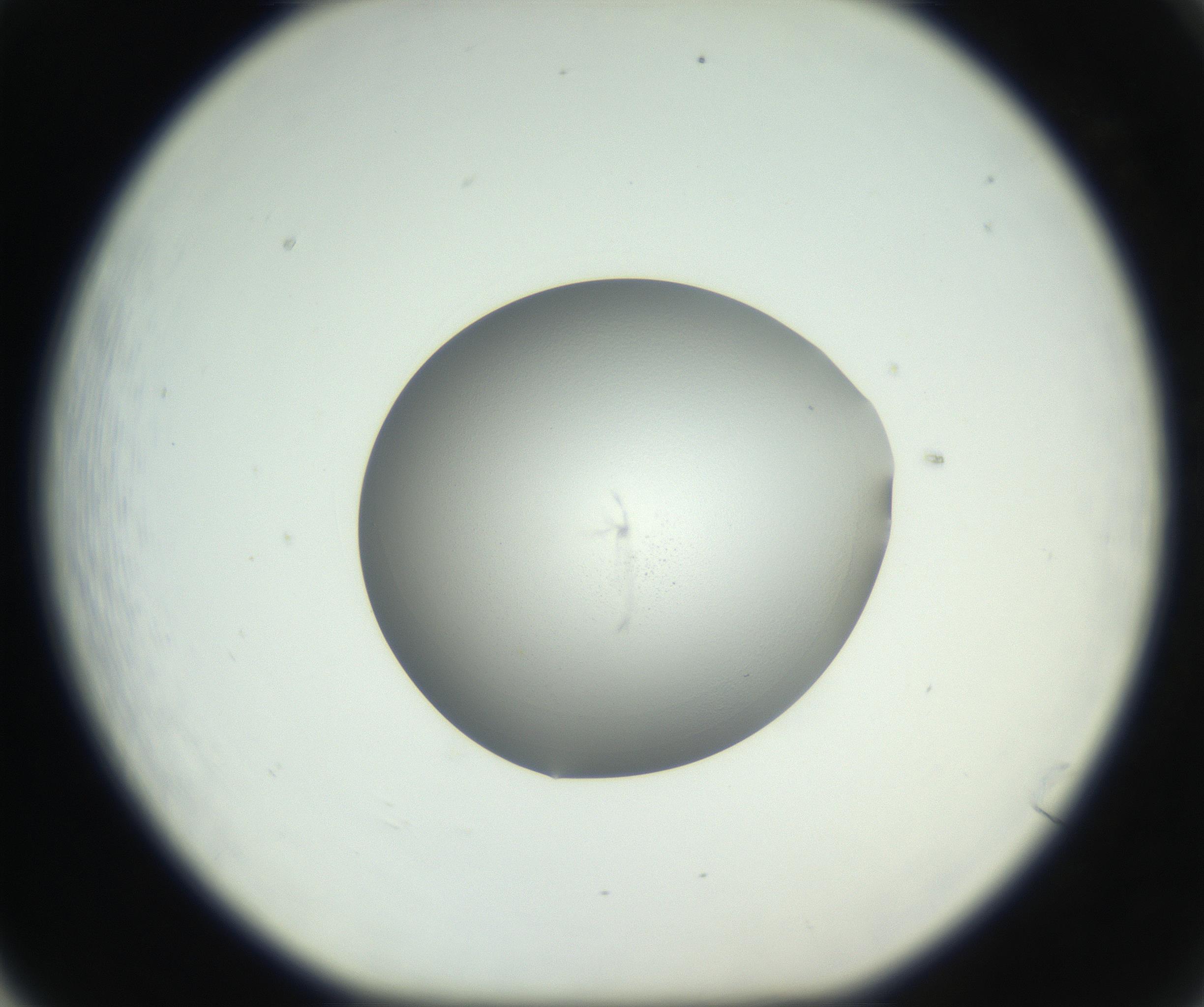 RI01_03_000_0212_Proj1_Clon1_MC_0000MC102706_003_160905_05_06_01_00_99_002_001_RAI.jpg