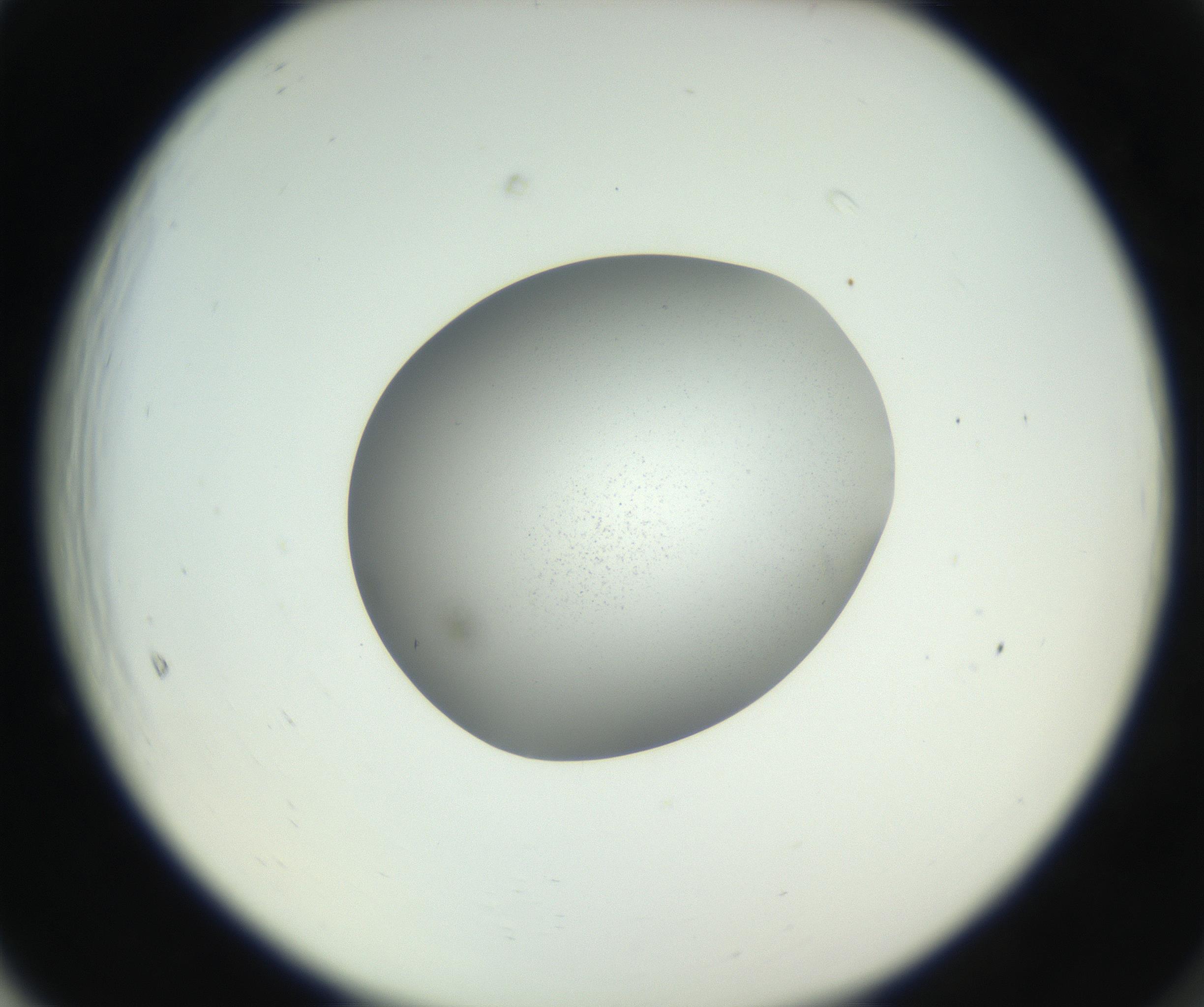 RI01_03_000_0212_Proj1_Clon1_MC_0000MC102706_003_160905_05_06_02_00_99_002_001_RAI.jpg