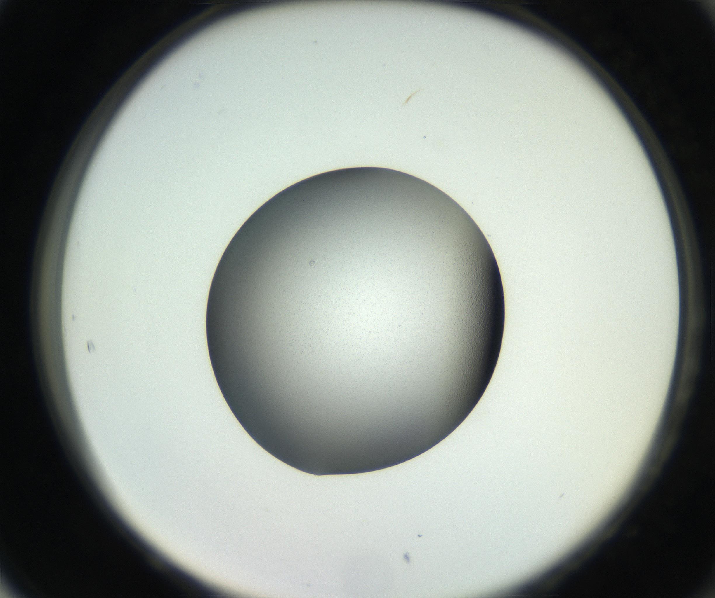 RI01_03_000_0212_Proj1_Clon1_MC_0000MC102706_003_160905_05_08_02_00_99_002_001_RAI.jpg