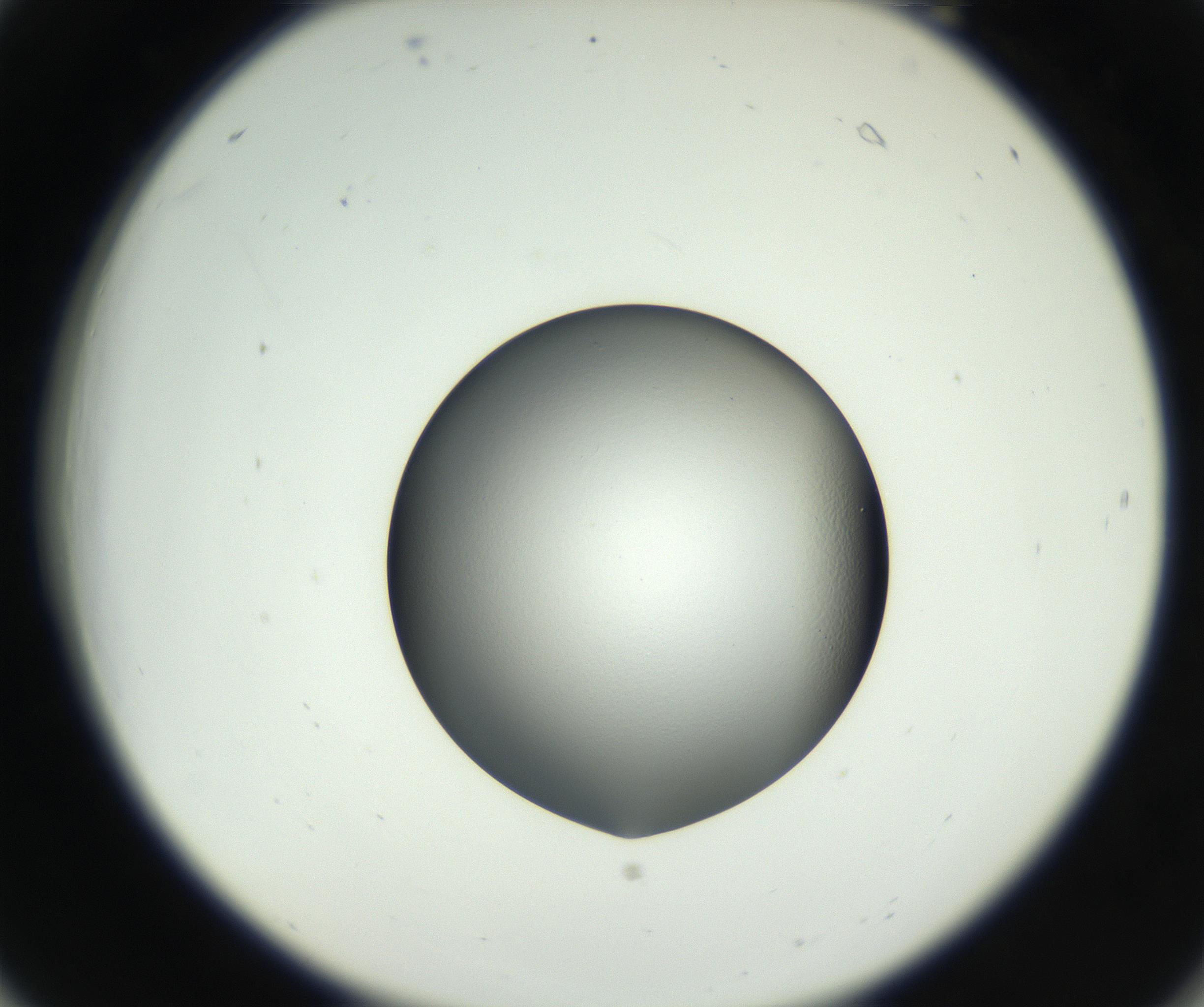 RI01_03_000_0212_Proj1_Clon1_MC_0000MC102706_003_160905_06_02_02_00_99_002_001_RAI.jpg