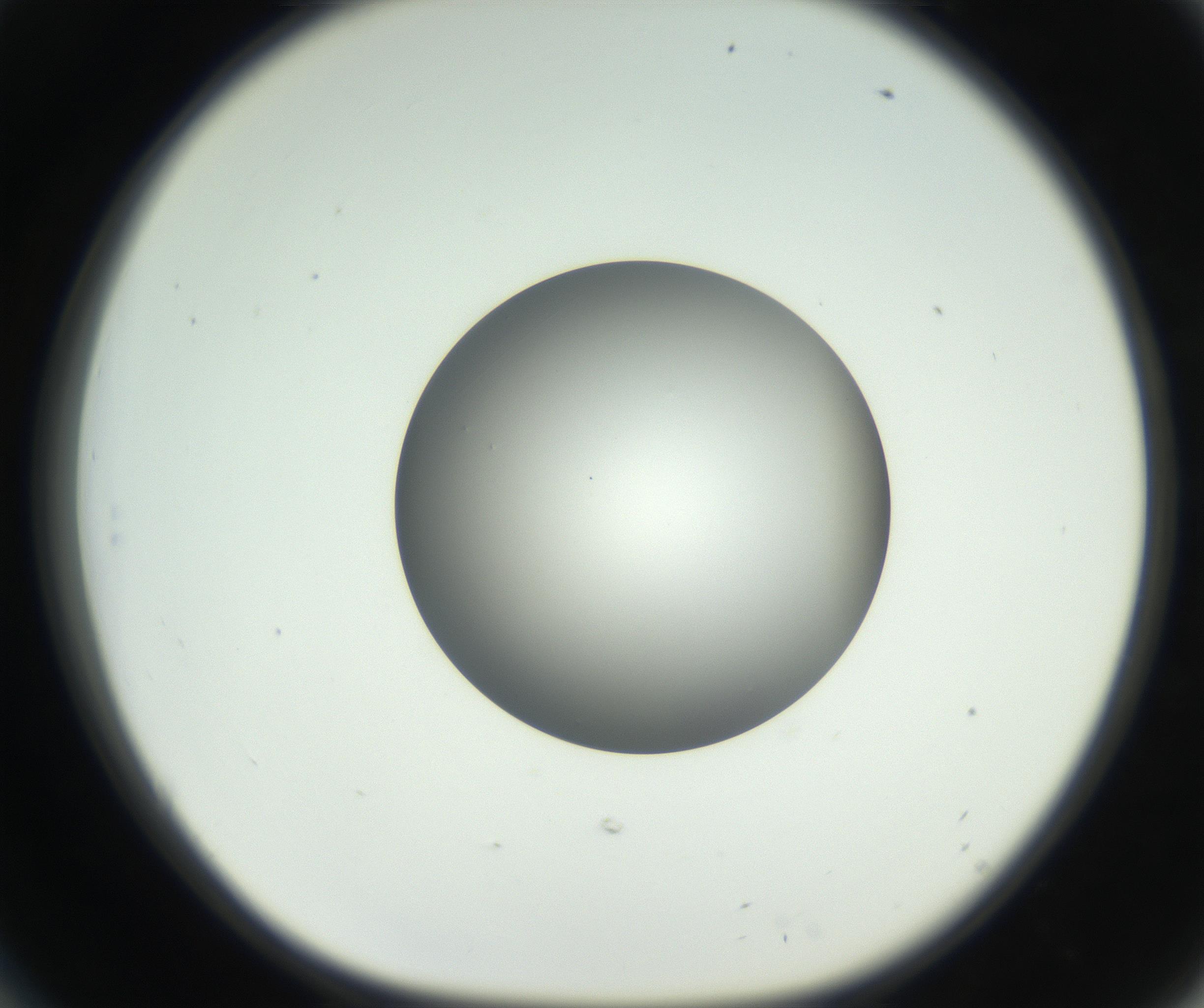 RI01_03_000_0212_Proj1_Clon1_MC_0000MC102706_003_160905_06_05_01_00_99_002_001_RAI.jpg