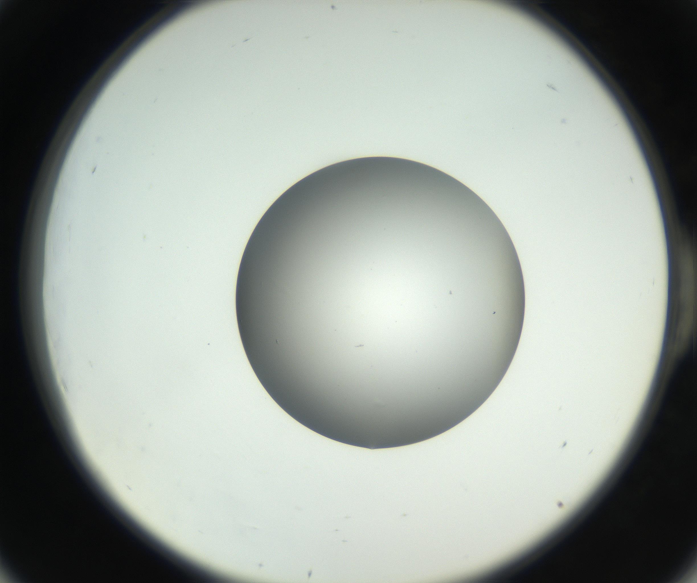 RI01_03_000_0212_Proj1_Clon1_MC_0000MC102706_003_160905_06_05_02_00_99_002_001_RAI.jpg