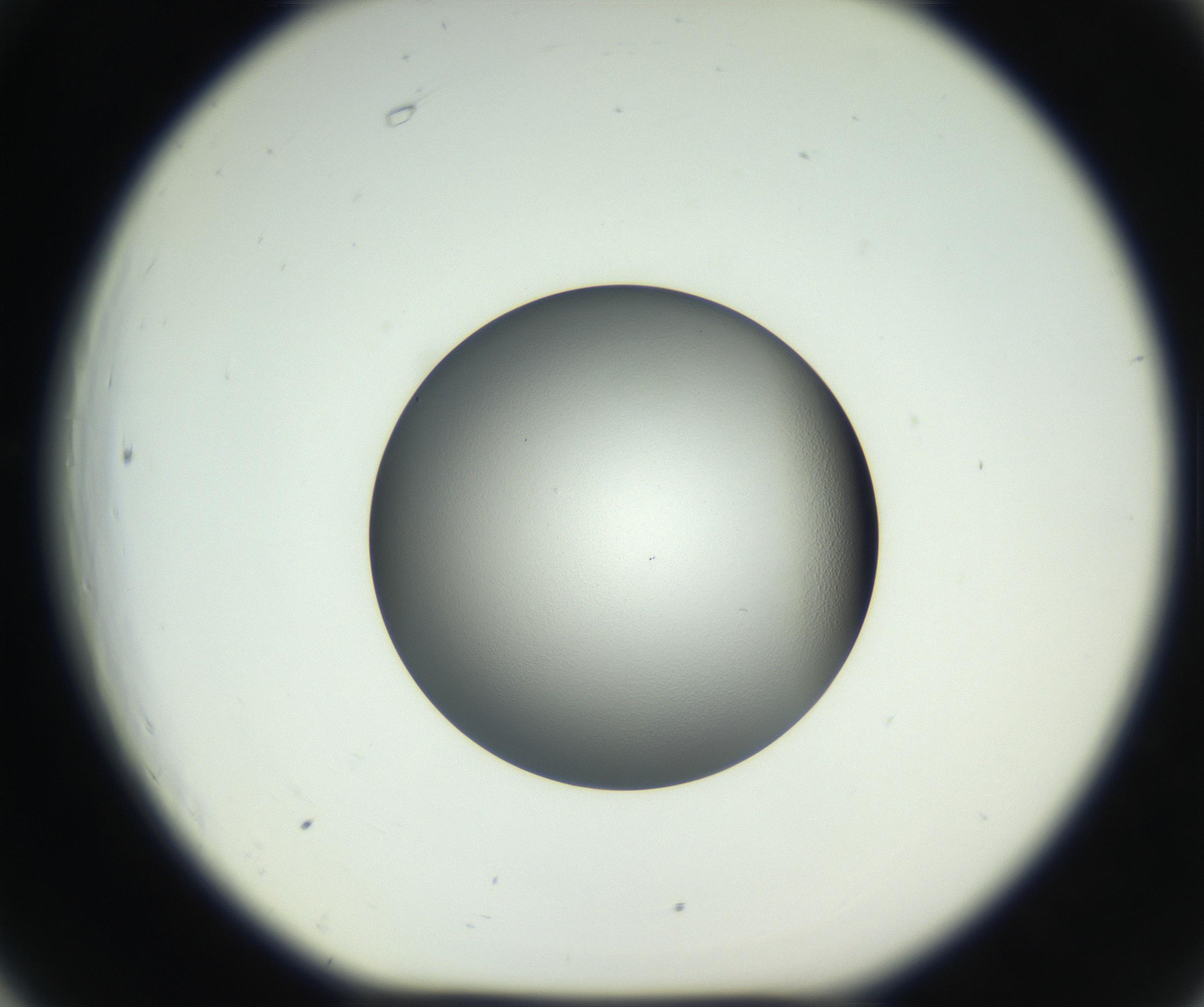 RI01_03_000_0212_Proj1_Clon1_MC_0000MC102706_003_160905_06_06_01_00_99_002_001_RAI.jpg
