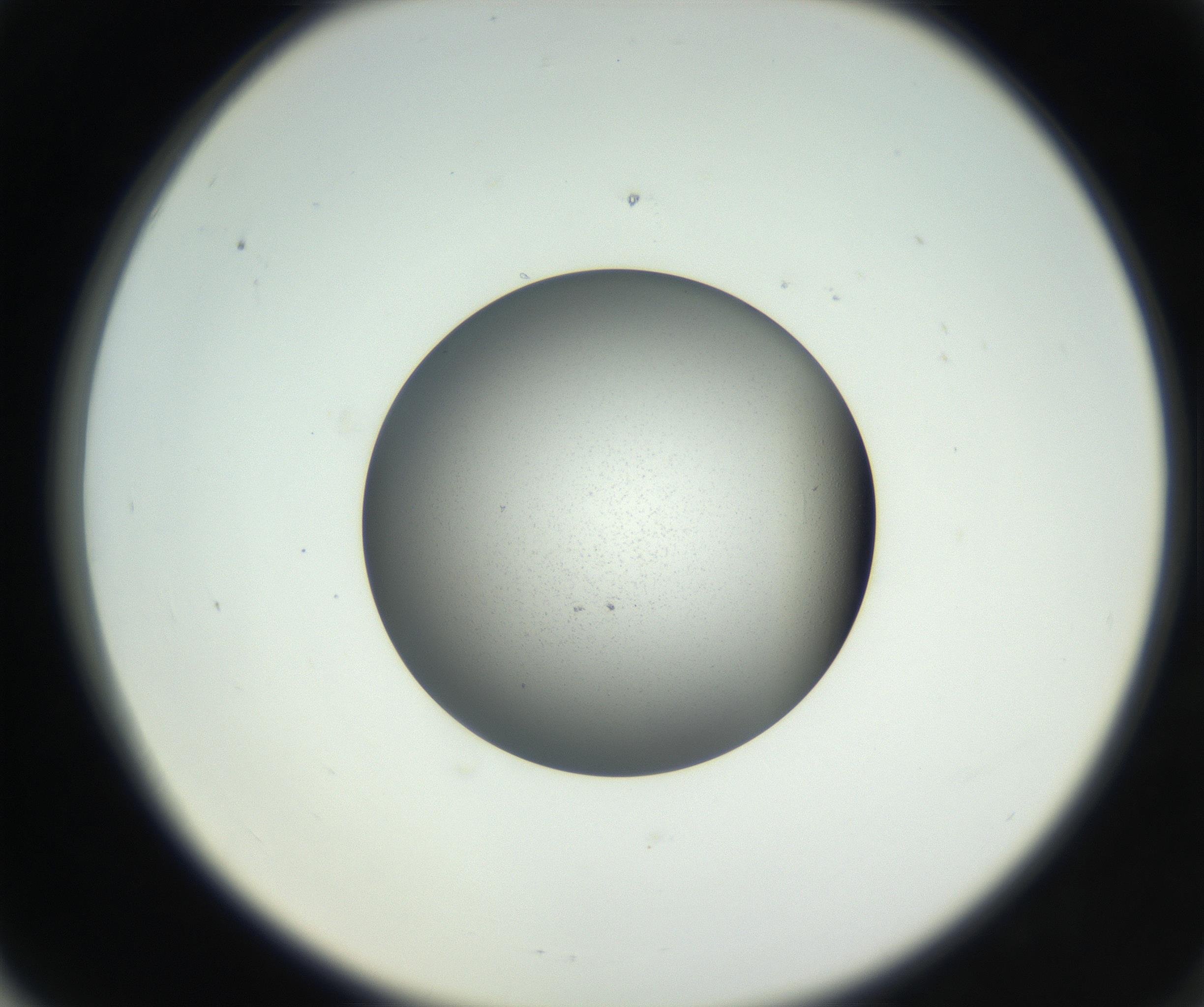 RI01_03_000_0212_Proj1_Clon1_MC_0000MC102706_003_160905_06_06_02_00_99_002_001_RAI.jpg