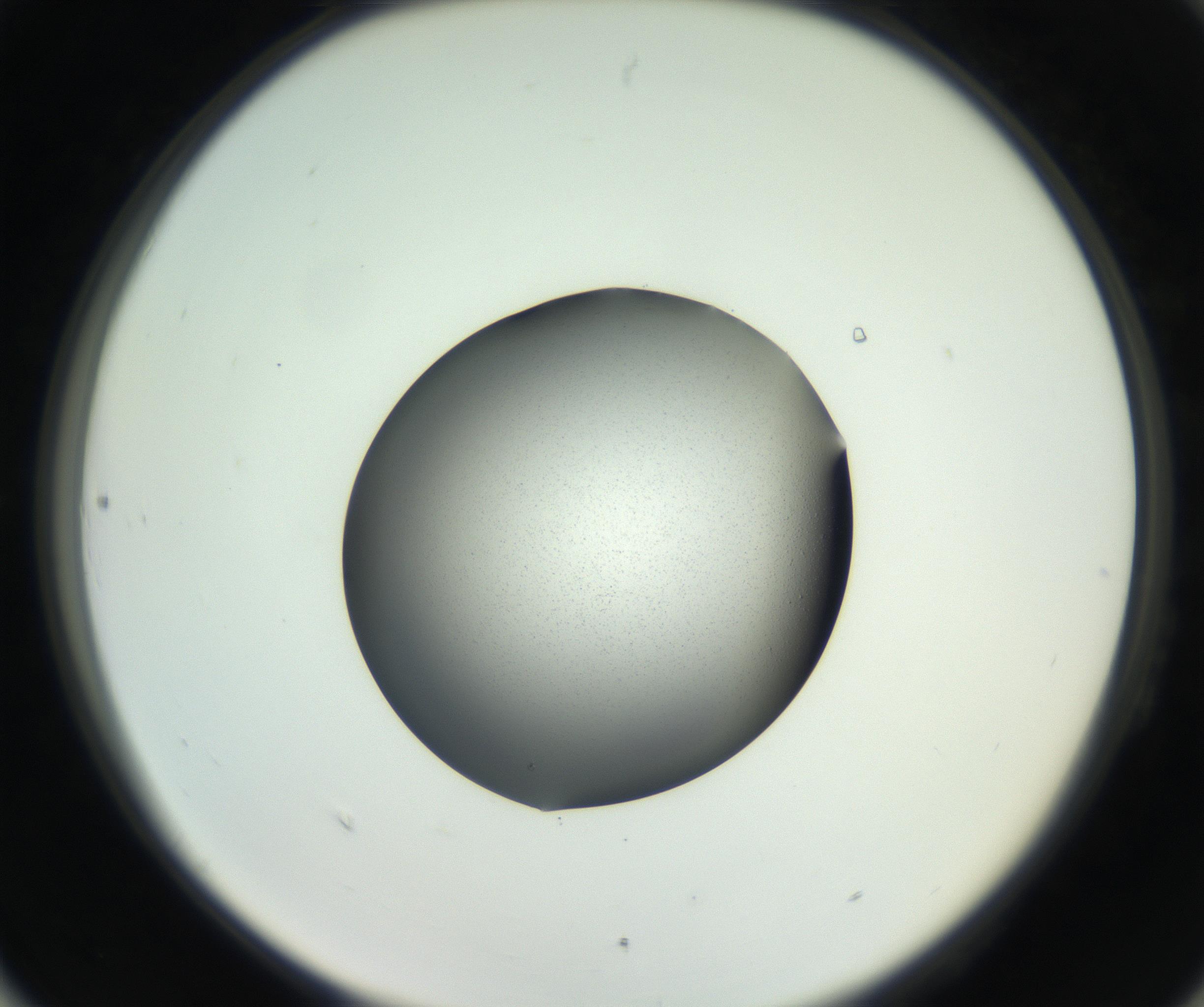 RI01_03_000_0212_Proj1_Clon1_MC_0000MC102706_003_160905_06_08_02_00_99_002_001_RAI.jpg