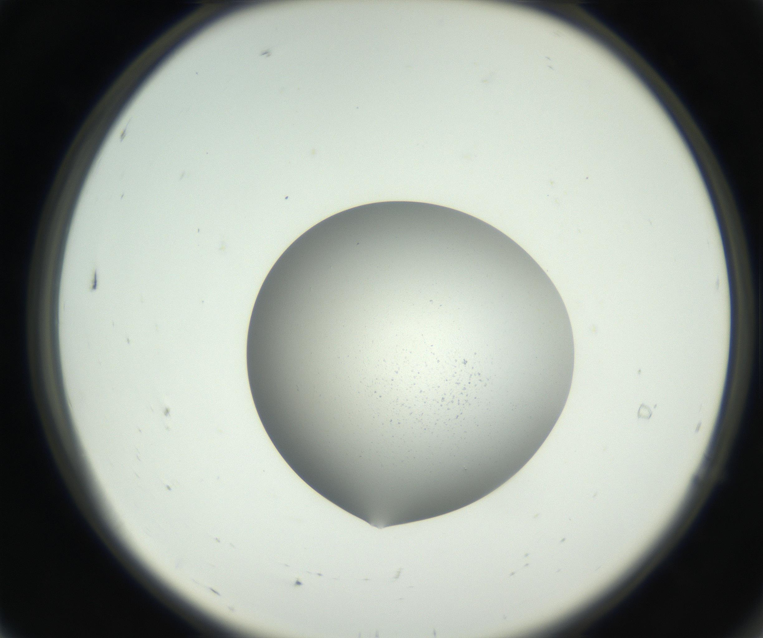 RI01_03_000_0212_Proj1_Clon1_MC_0000MC102706_003_160905_07_01_02_00_99_002_001_RAI.jpg