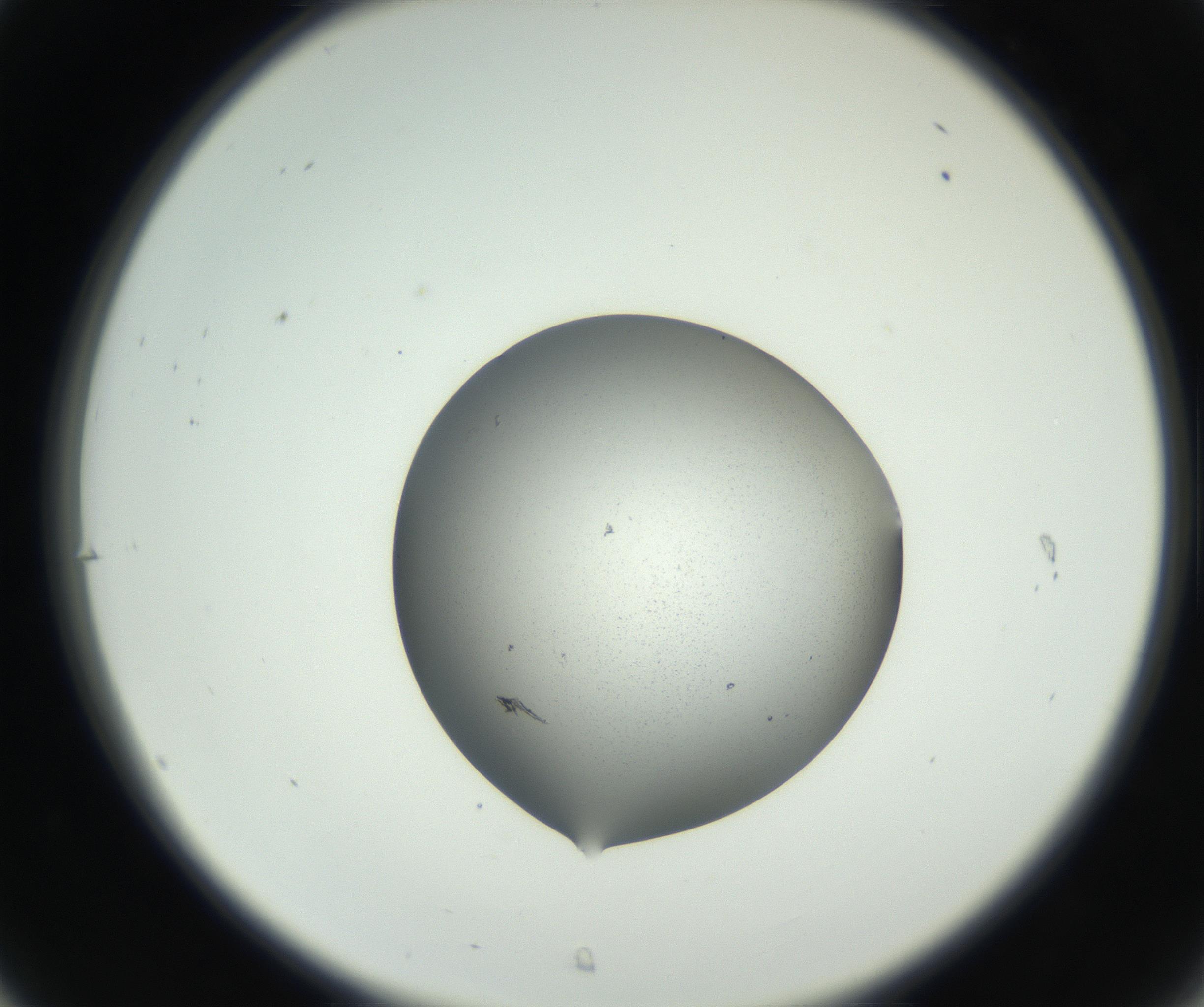 RI01_03_000_0212_Proj1_Clon1_MC_0000MC102706_003_160905_07_03_02_00_99_002_001_RAI.jpg