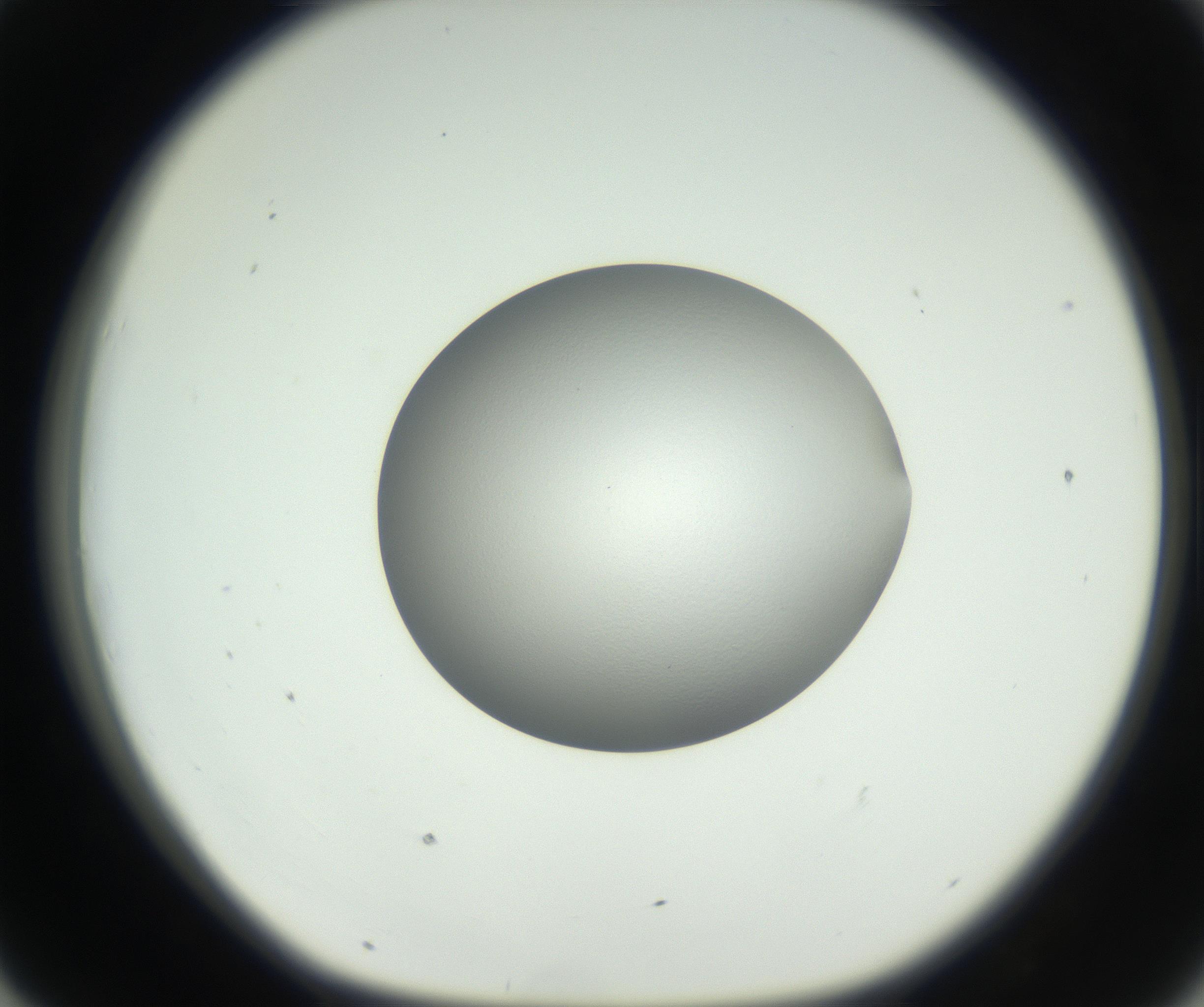 RI01_03_000_0212_Proj1_Clon1_MC_0000MC102706_003_160905_07_04_01_00_99_002_001_RAI.jpg