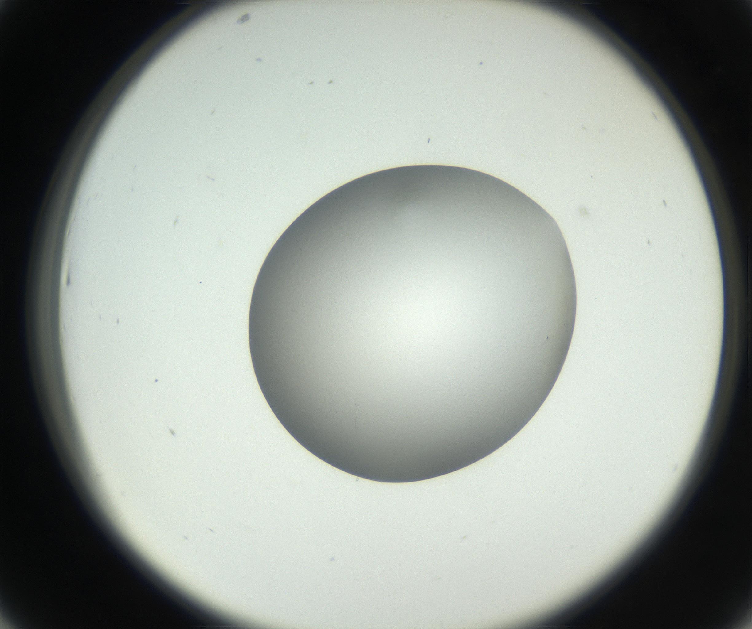 RI01_03_000_0212_Proj1_Clon1_MC_0000MC102706_003_160905_07_04_02_00_99_002_001_RAI.jpg