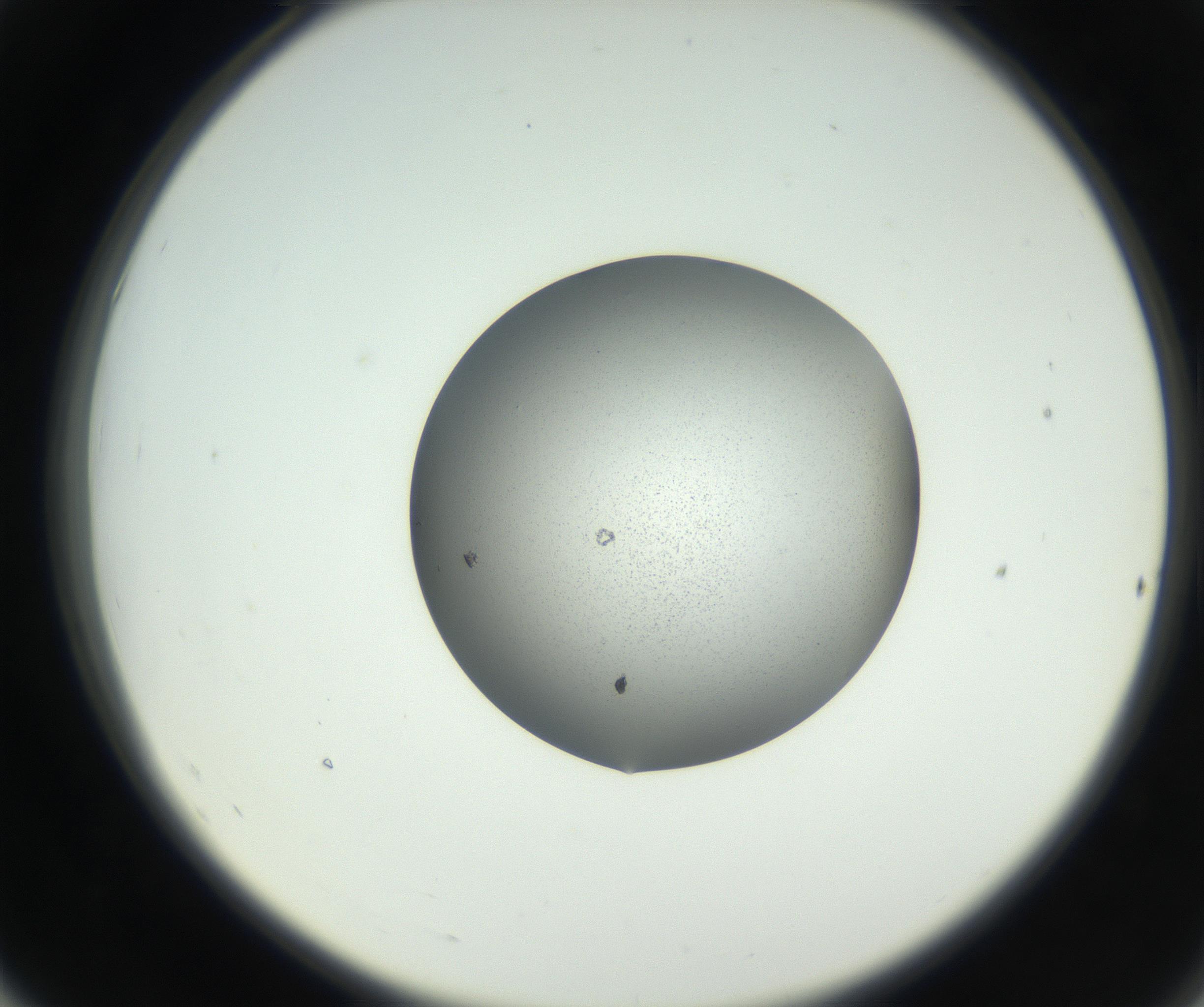 RI01_03_000_0212_Proj1_Clon1_MC_0000MC102706_003_160905_07_05_02_00_99_002_001_RAI.jpg