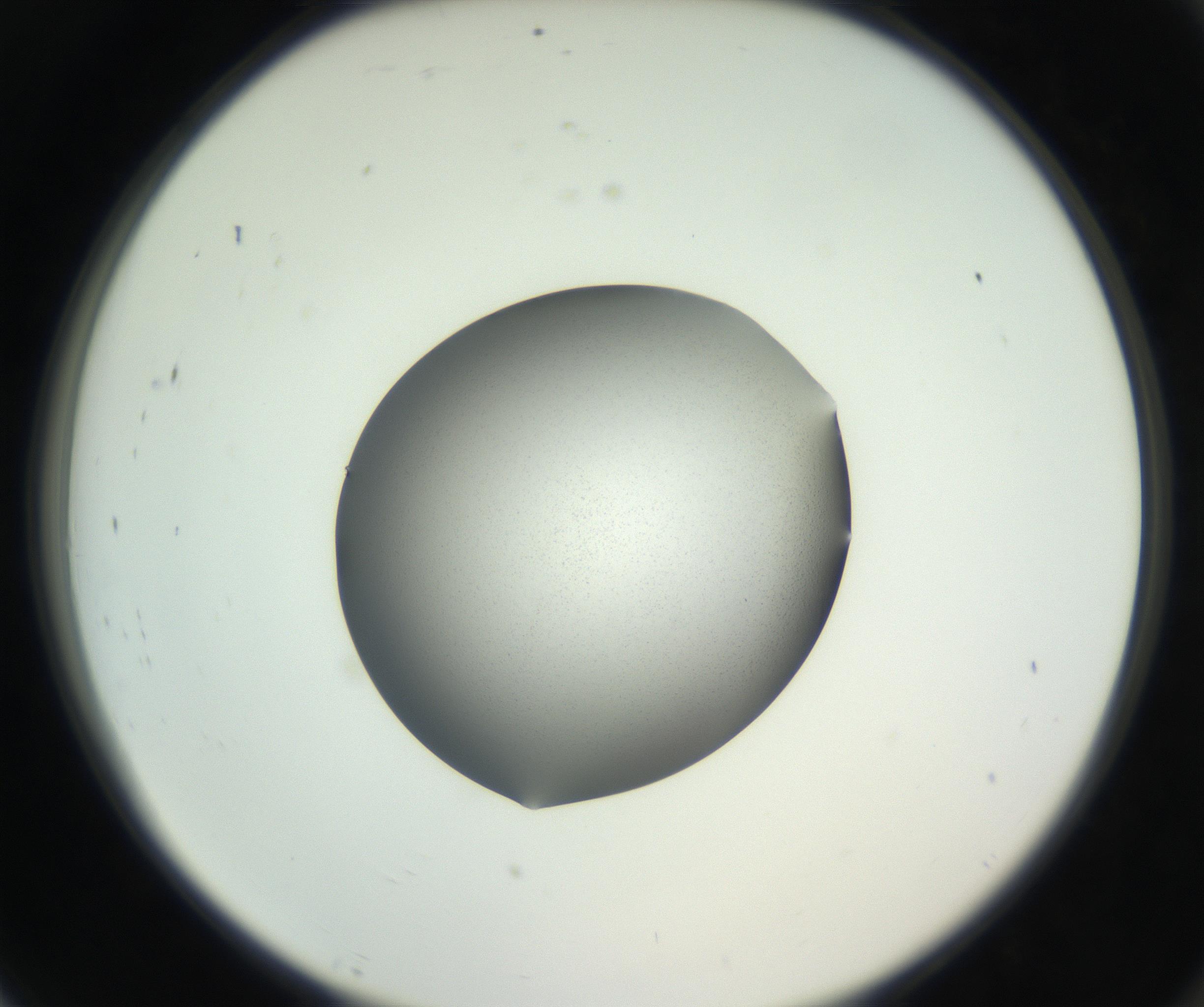 RI01_03_000_0212_Proj1_Clon1_MC_0000MC102706_003_160905_07_08_02_00_99_002_001_RAI.jpg