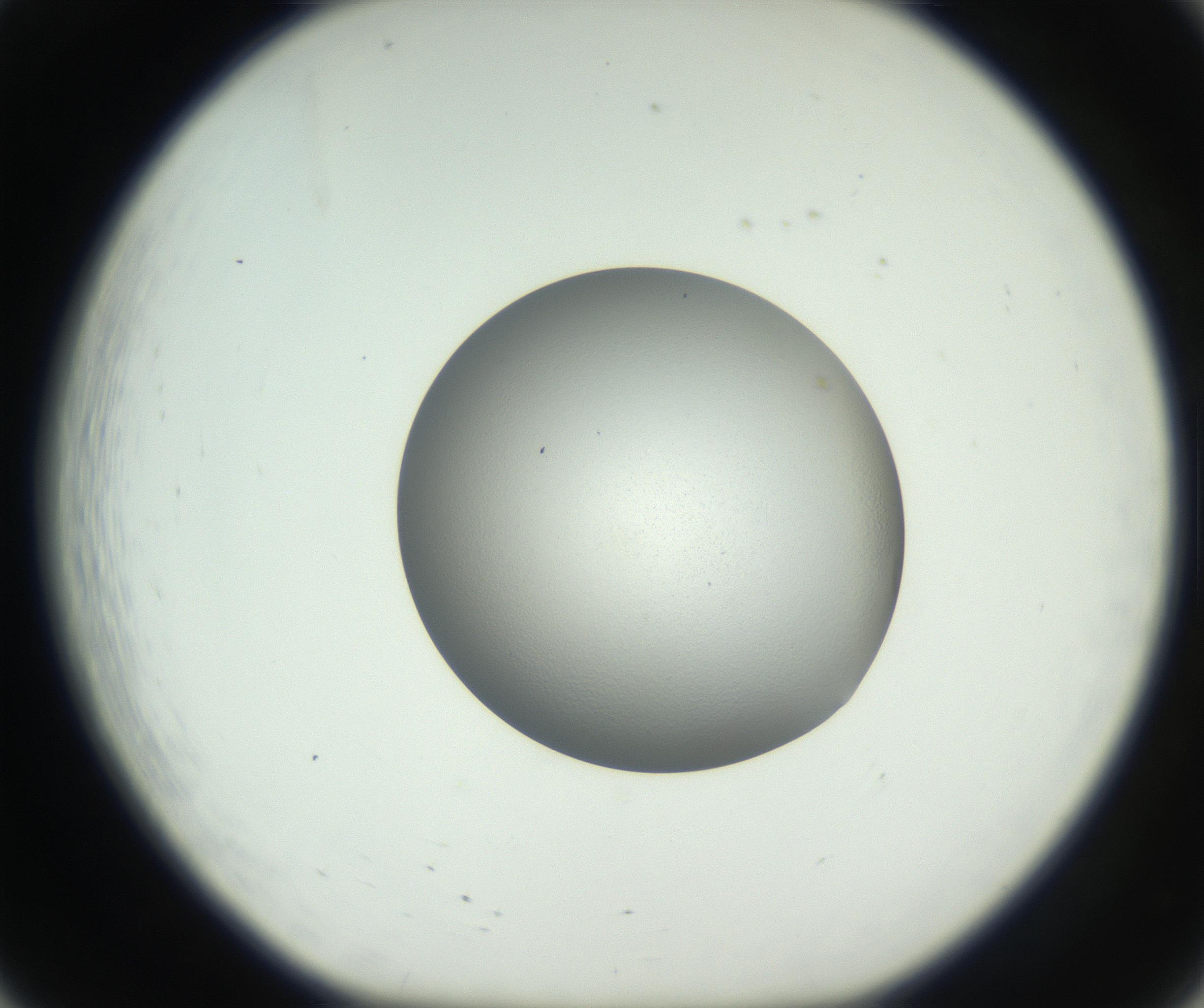 RI01_03_000_0212_Proj1_Clon1_MC_0000MC102706_003_160905_08_02_01_00_99_002_001_RAI.jpg