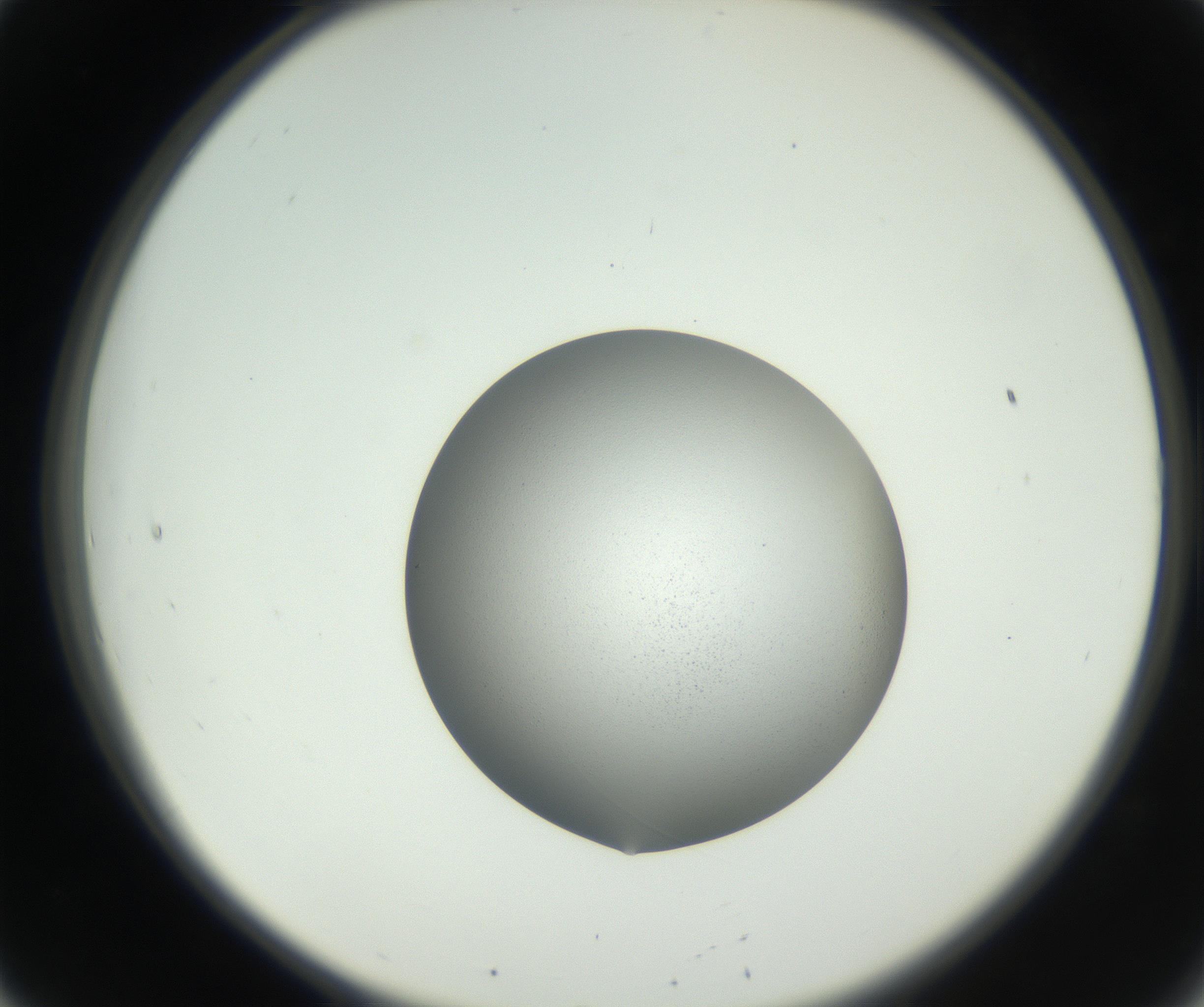 RI01_03_000_0212_Proj1_Clon1_MC_0000MC102706_003_160905_08_02_02_00_99_002_001_RAI.jpg